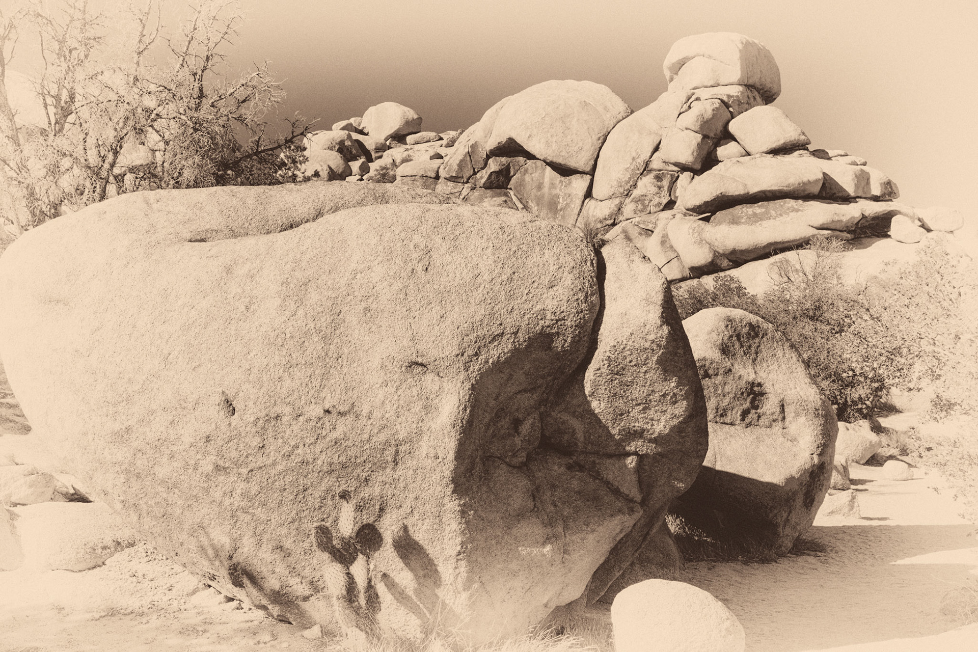 Black &amp; White 00103