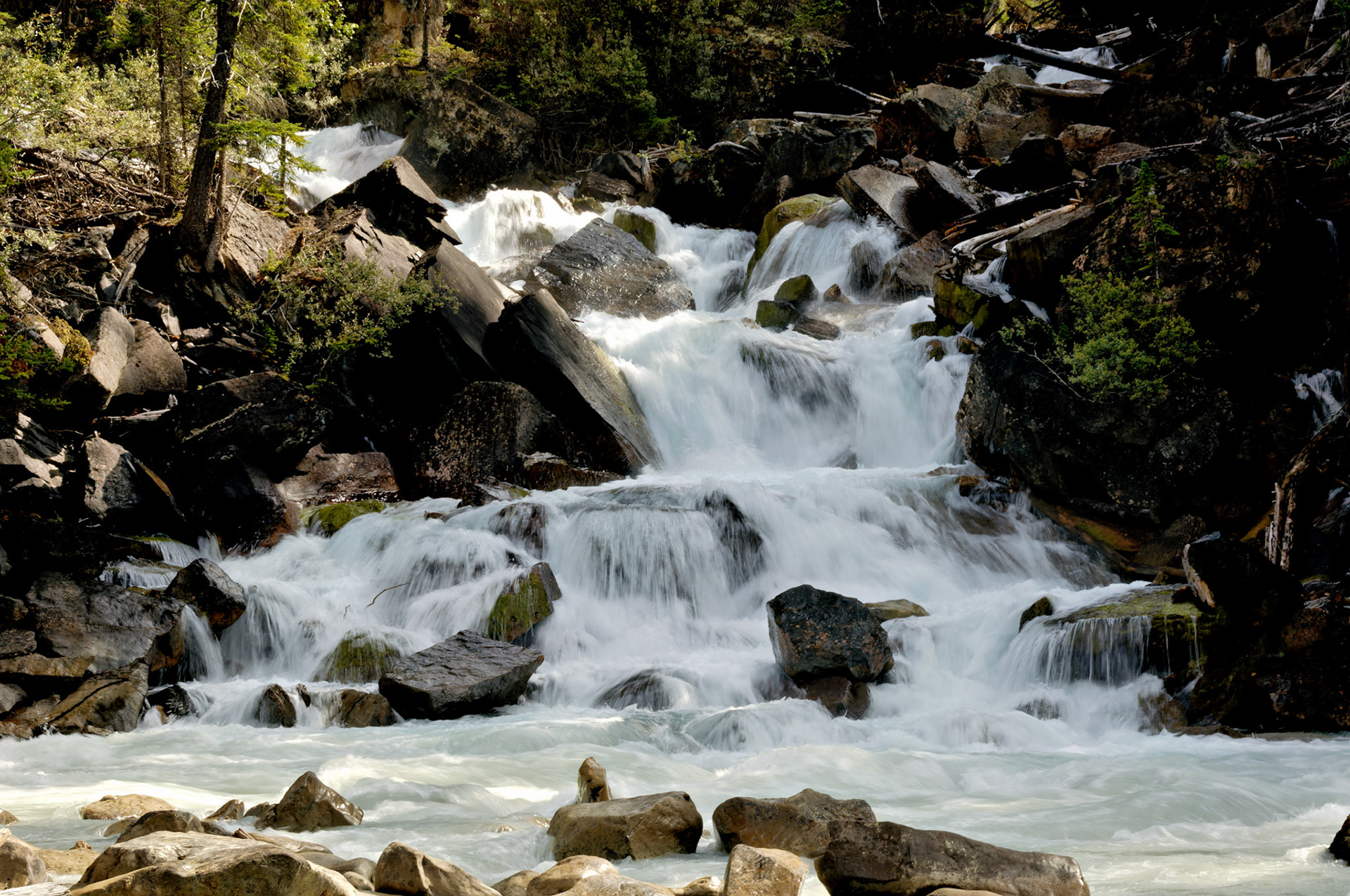 CN_20060803_0582_PS.dng