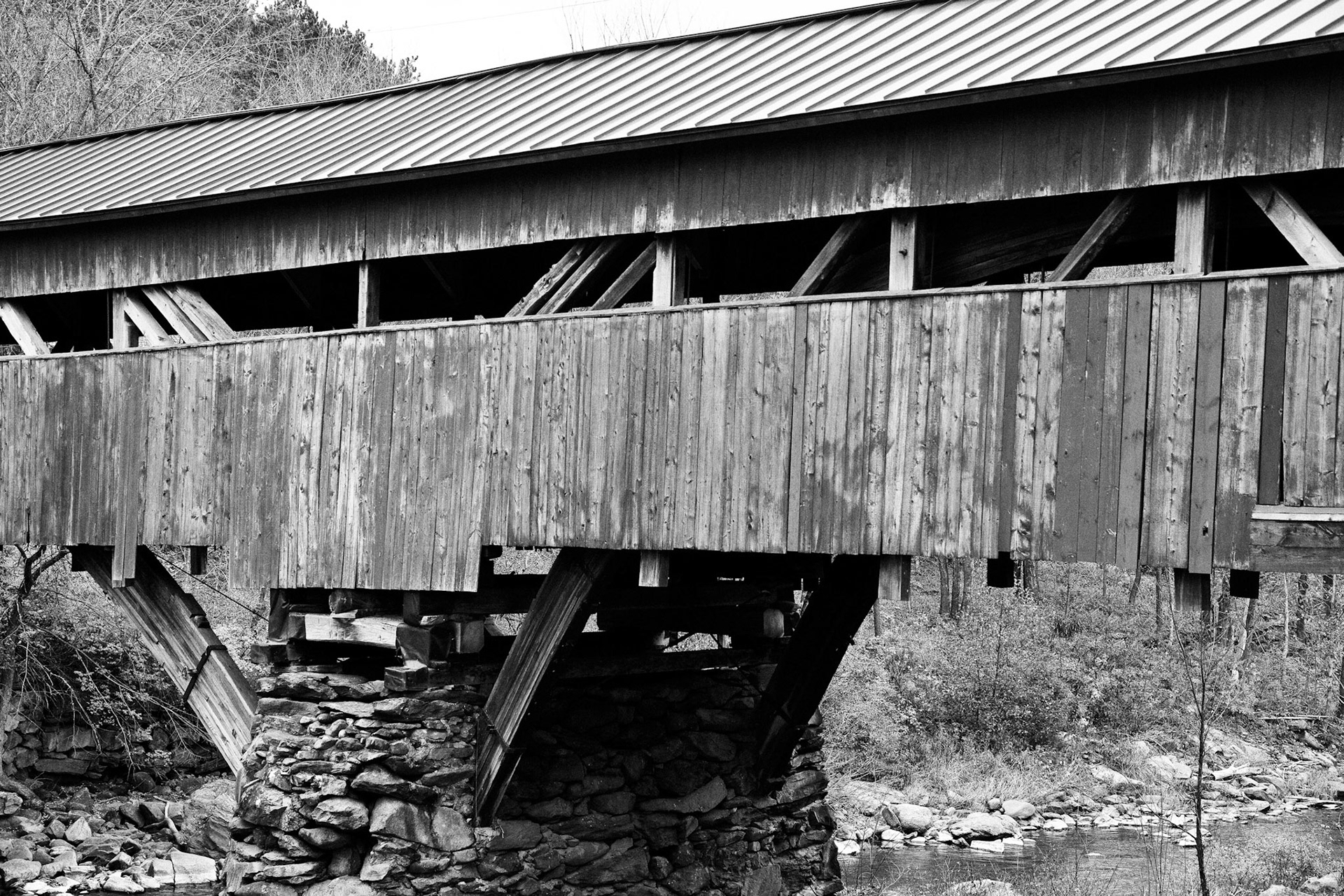 Black &amp; White 00129