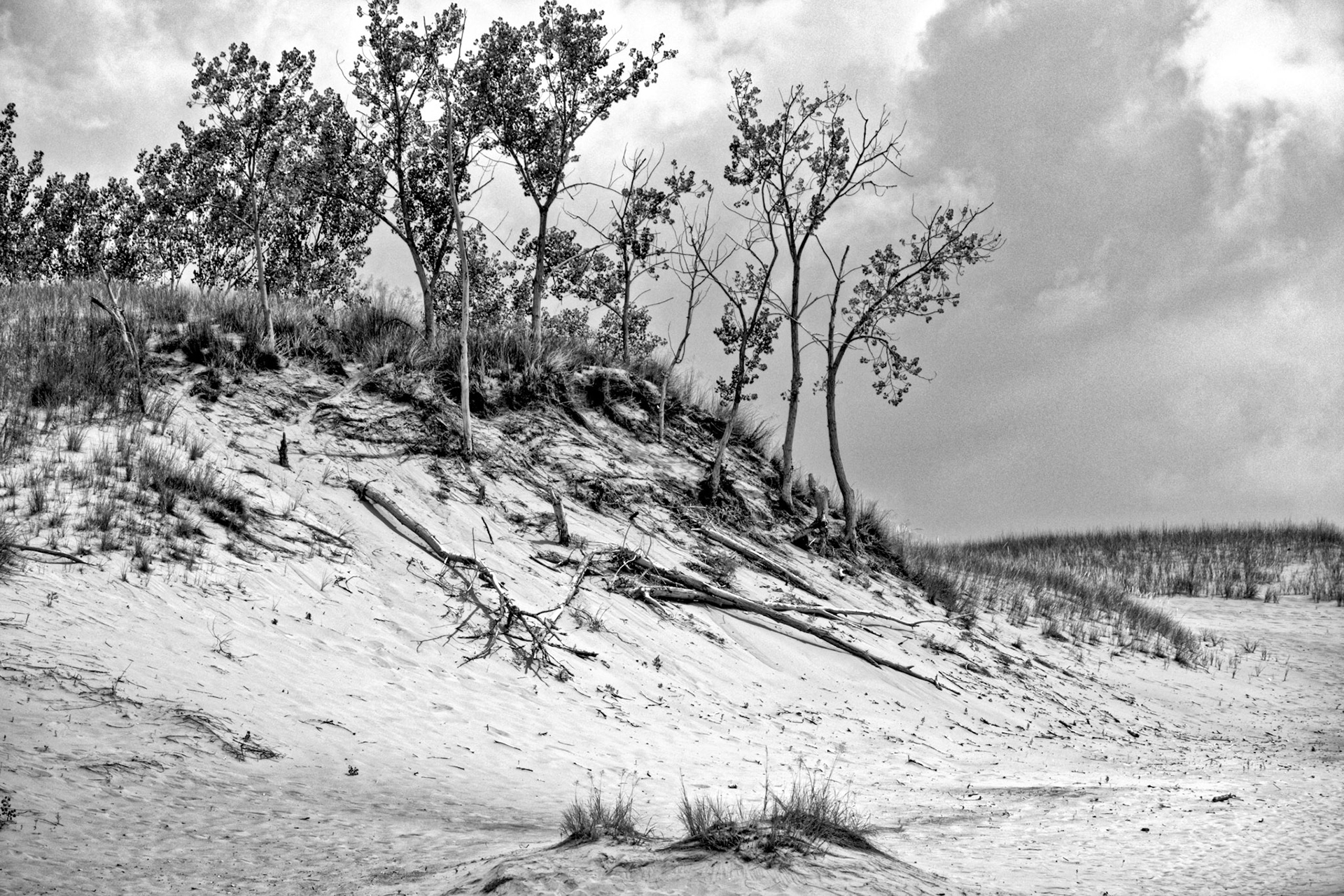 Black &amp; White 00206