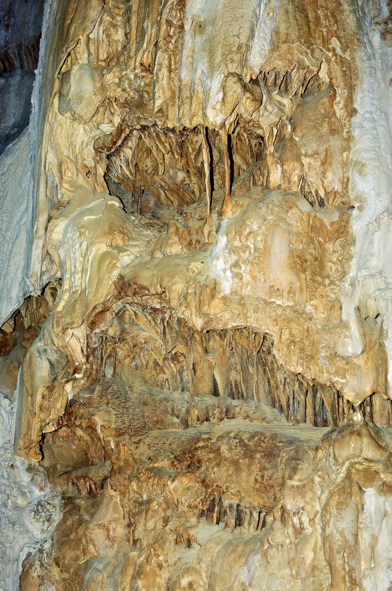 CA_20050614_0092_PS.dng