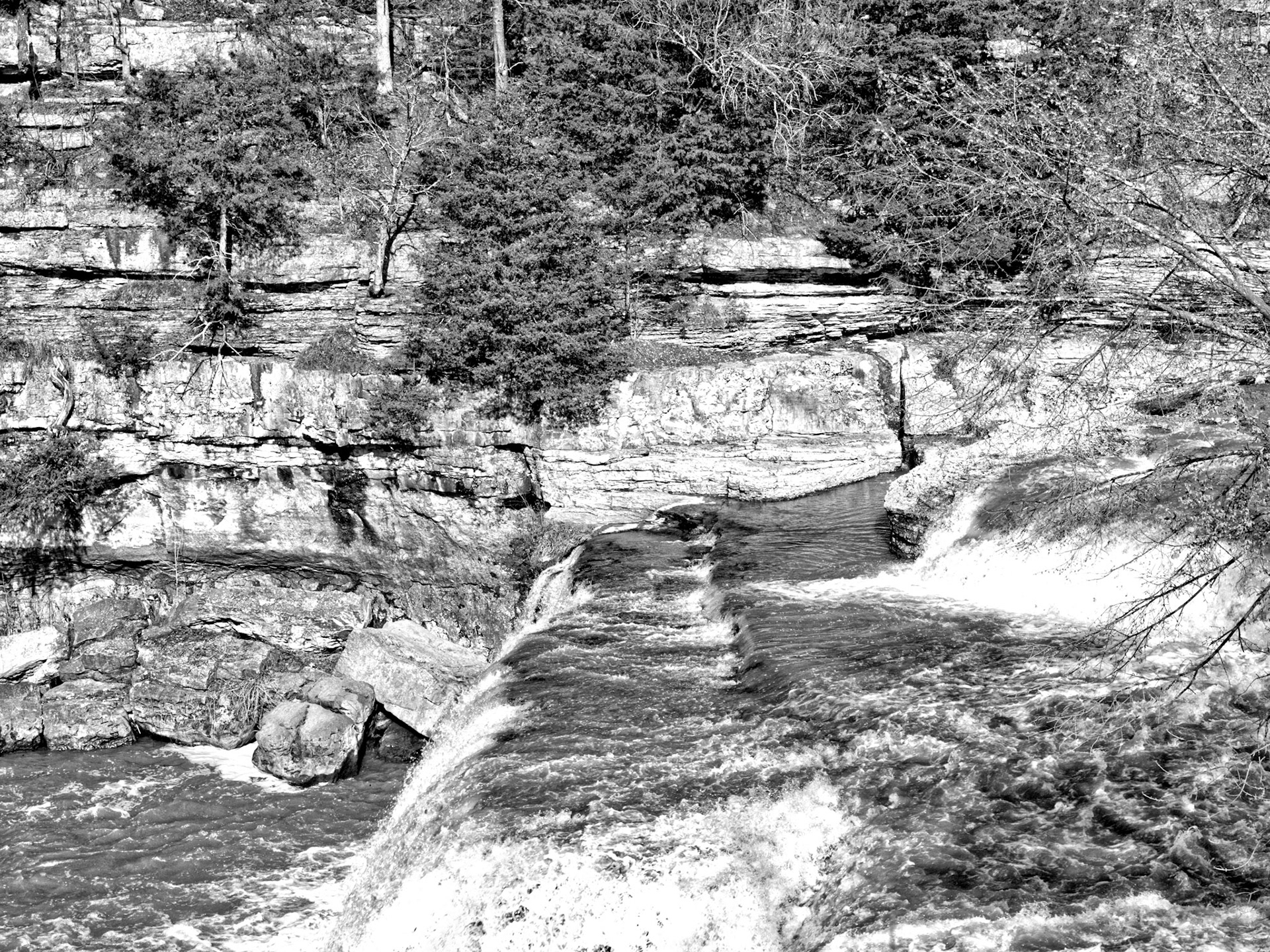 Black &amp; White 00017