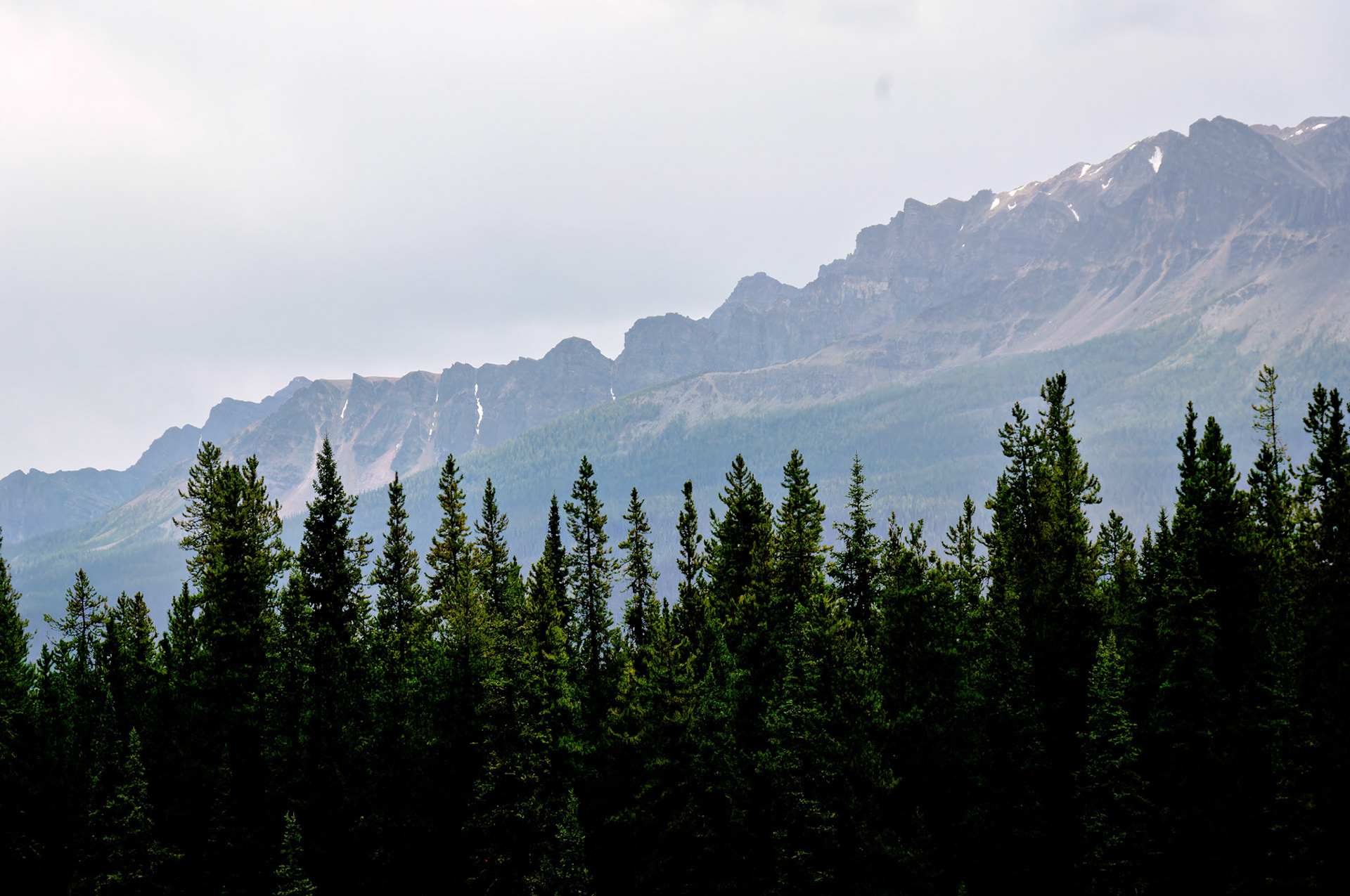 CN_20060803_0351_PS.dng