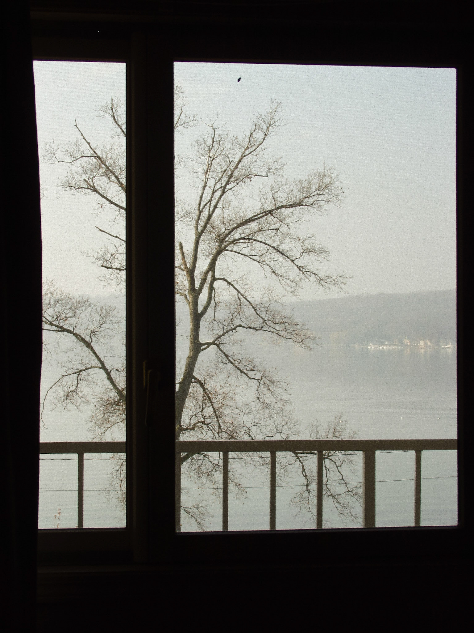 Black &amp; White 00046