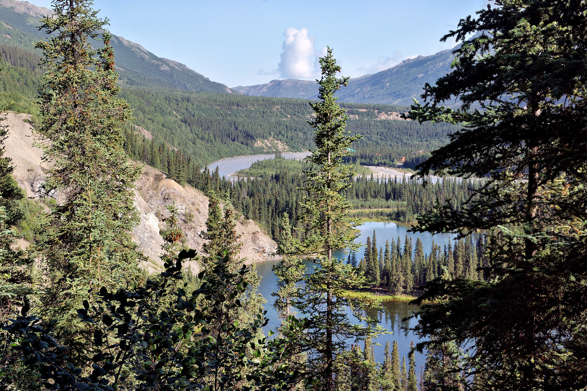 AK_20030808_0905_PS.dng