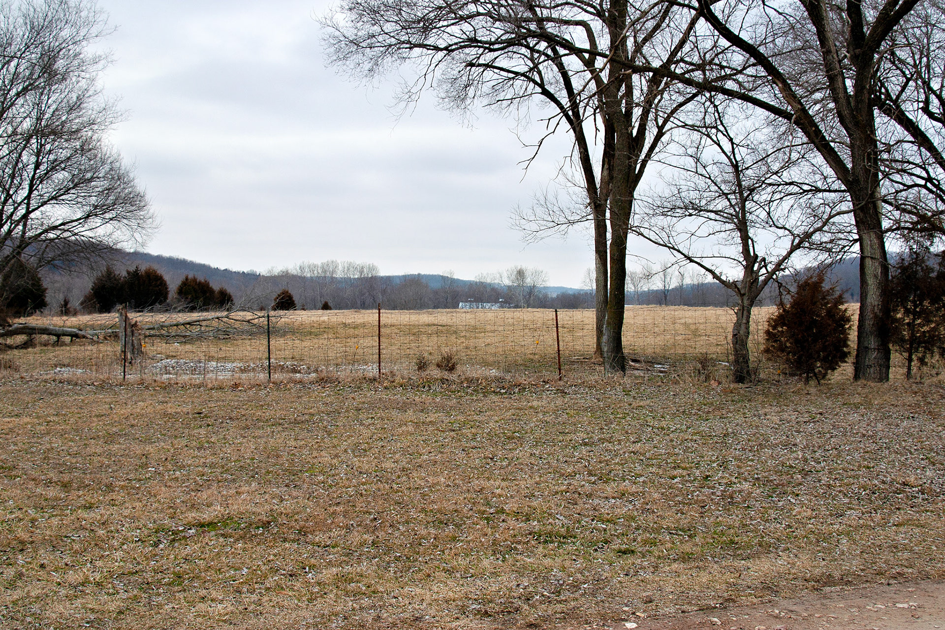 VA_20030305_0017_PS.dng