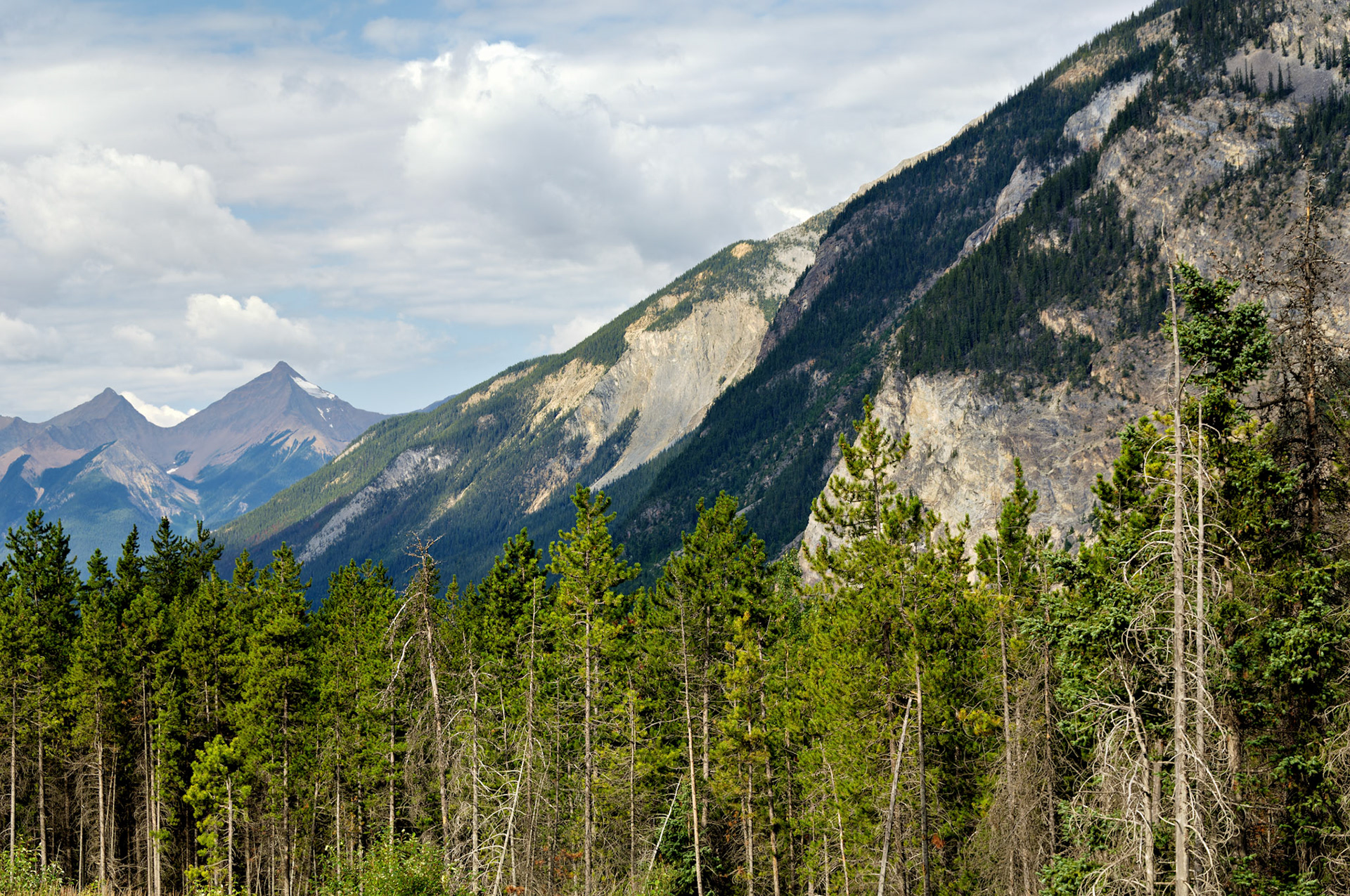 CN_20060803_0299_PS.dng