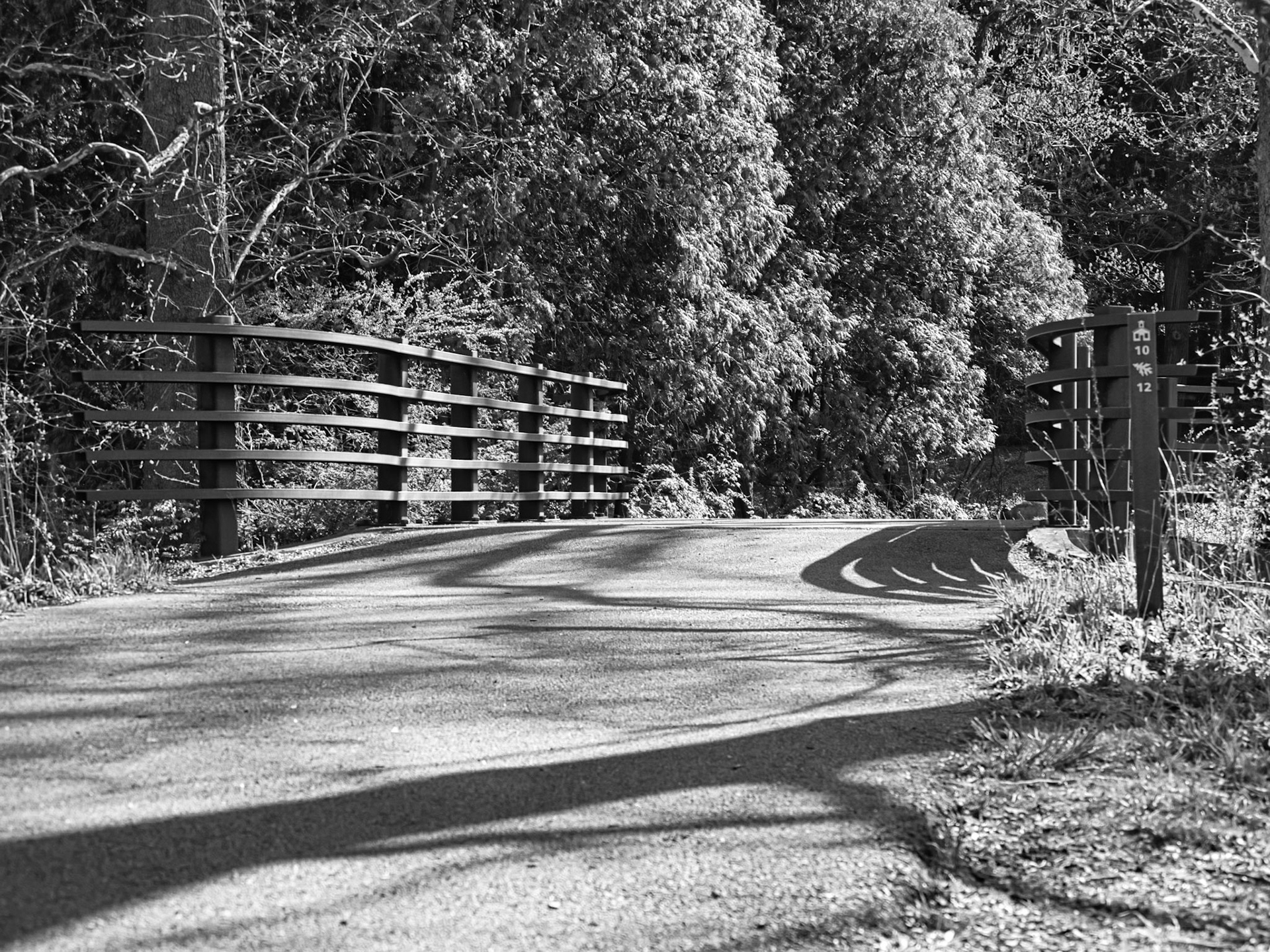 Black &amp; White 00264