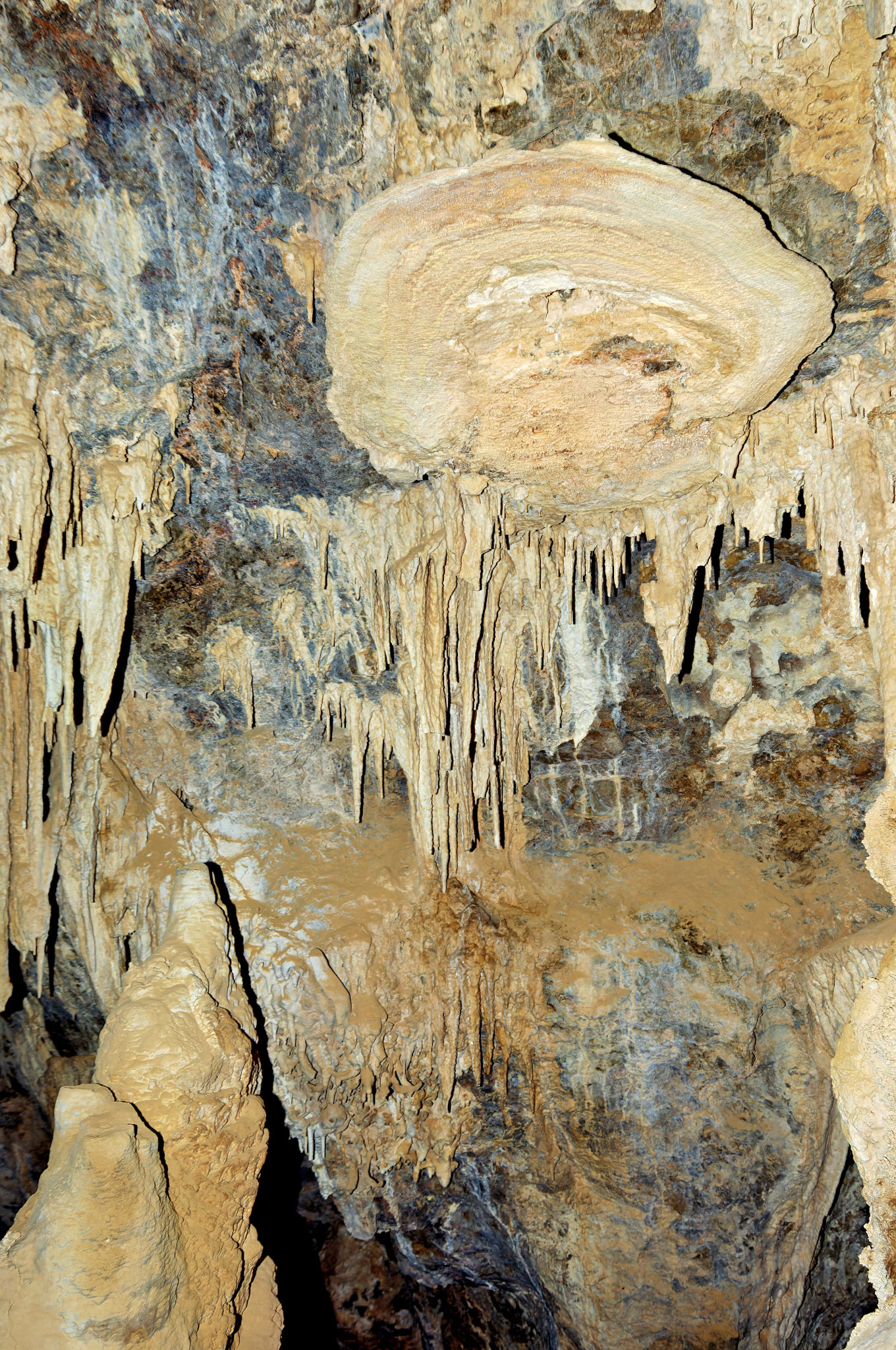 CA_20050614_0096_PS.dng