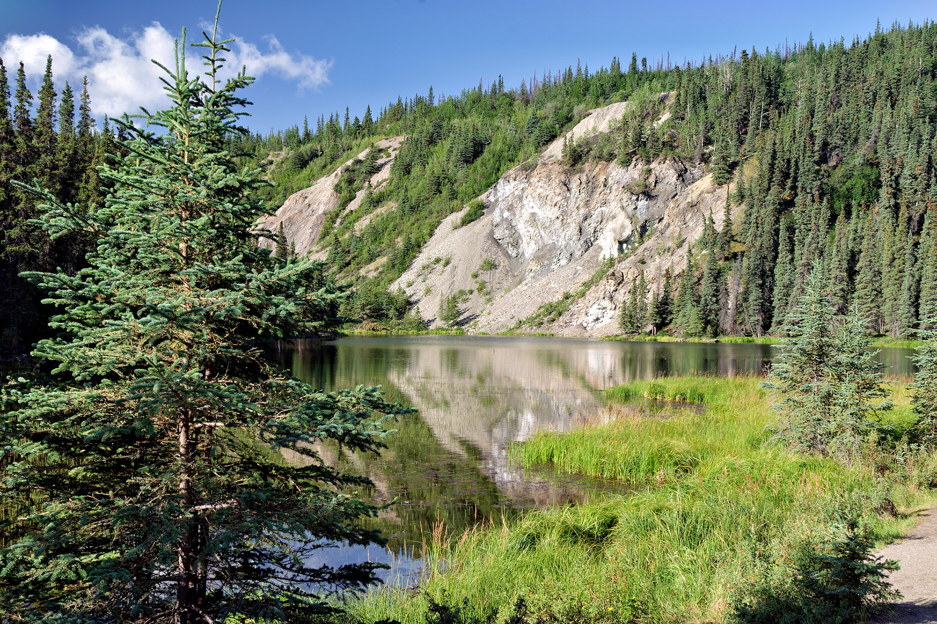 AK_20030808_0893_PS.dng
