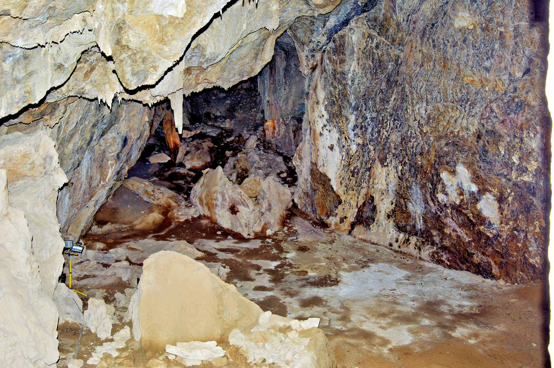 CA_20050614_0112_PS.dng