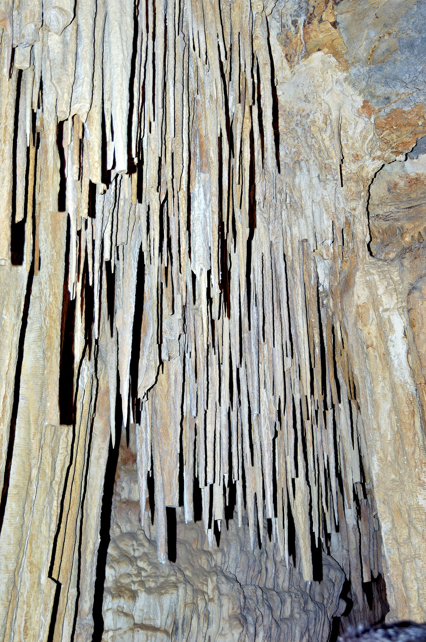 CA_20050614_0107_PS.dng