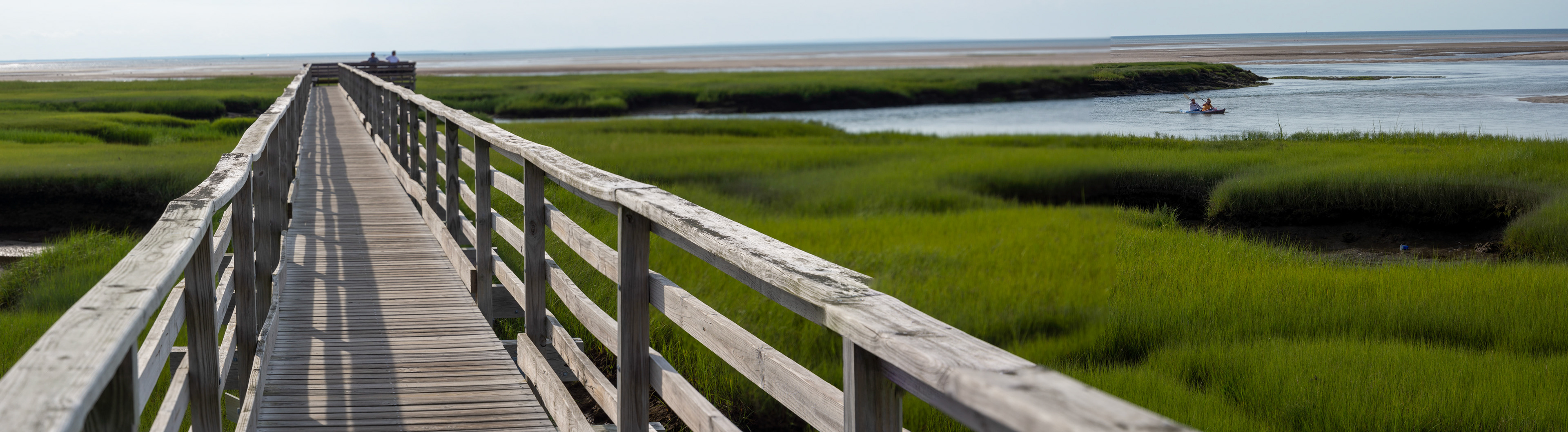MA_CapeCod_20150717_0247a_PS.dng