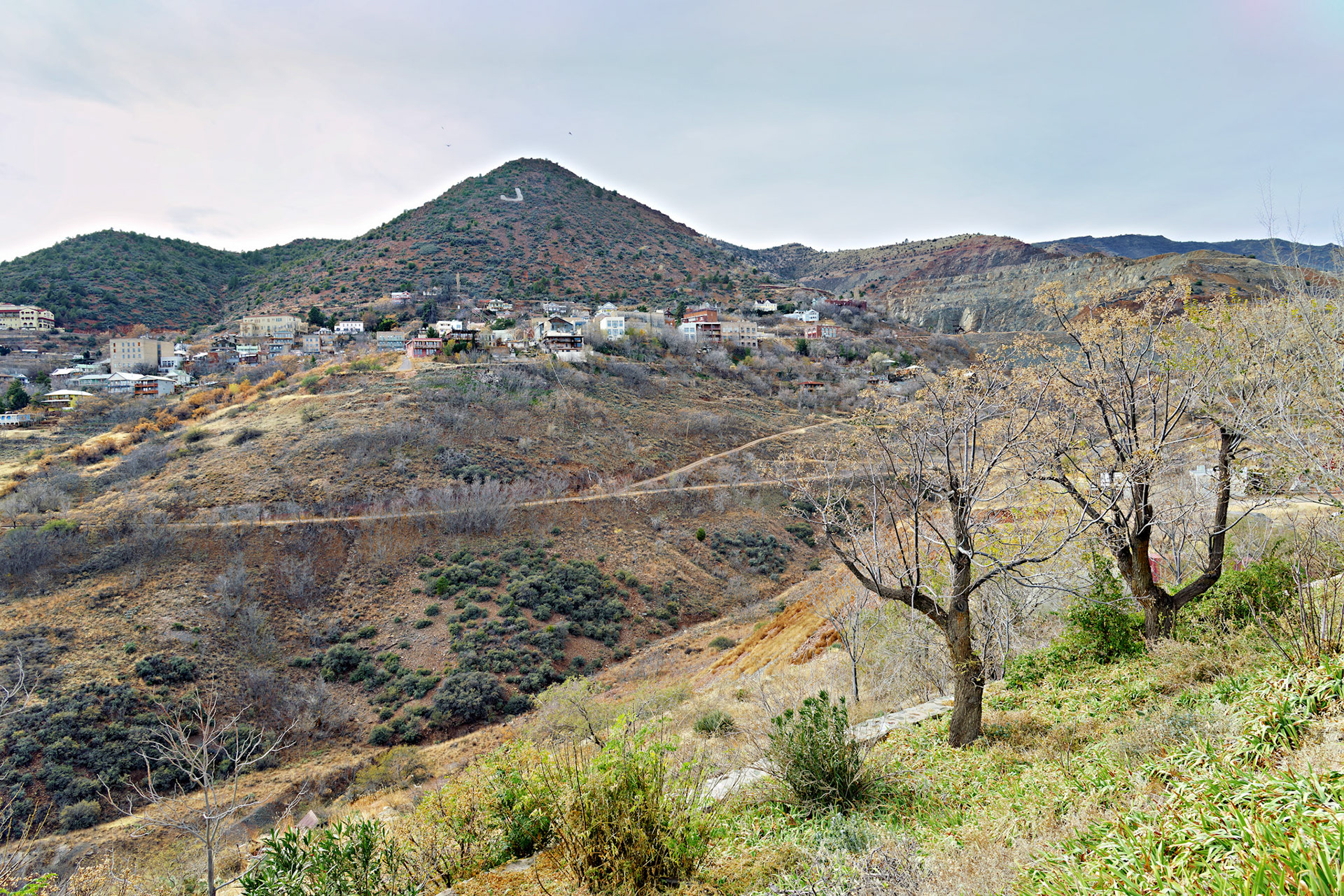 AZ_20121212_0605_PS.dng