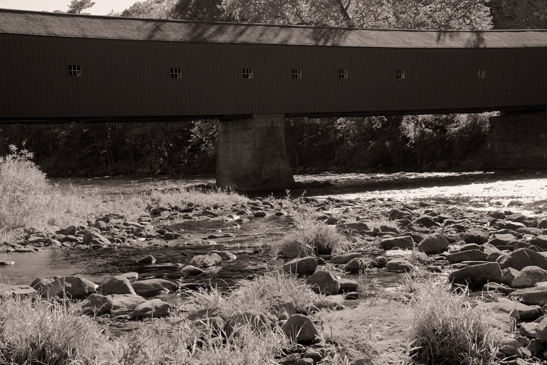 Black &amp; White Photos