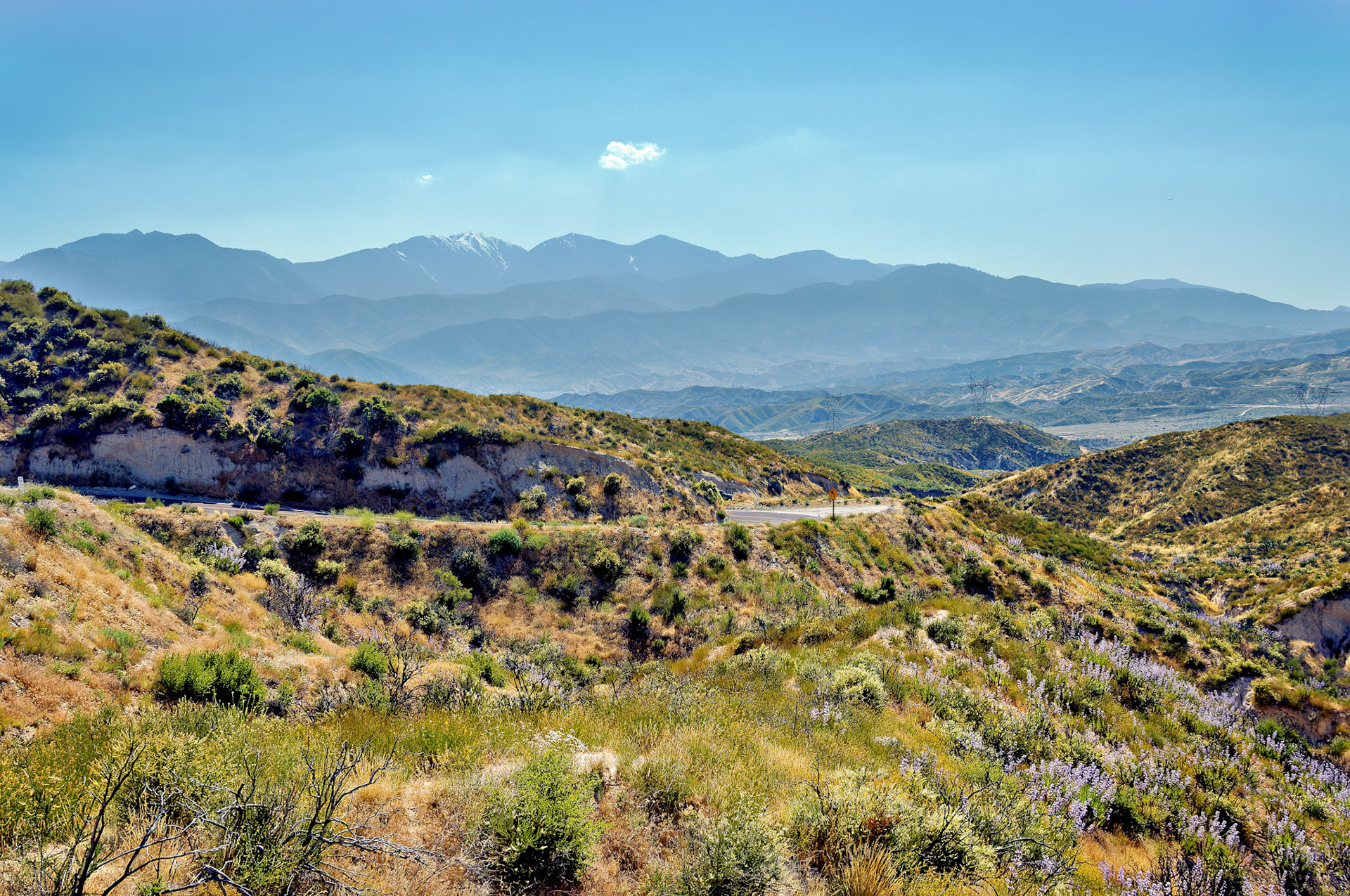 CA_20050613_0037_PS.dng