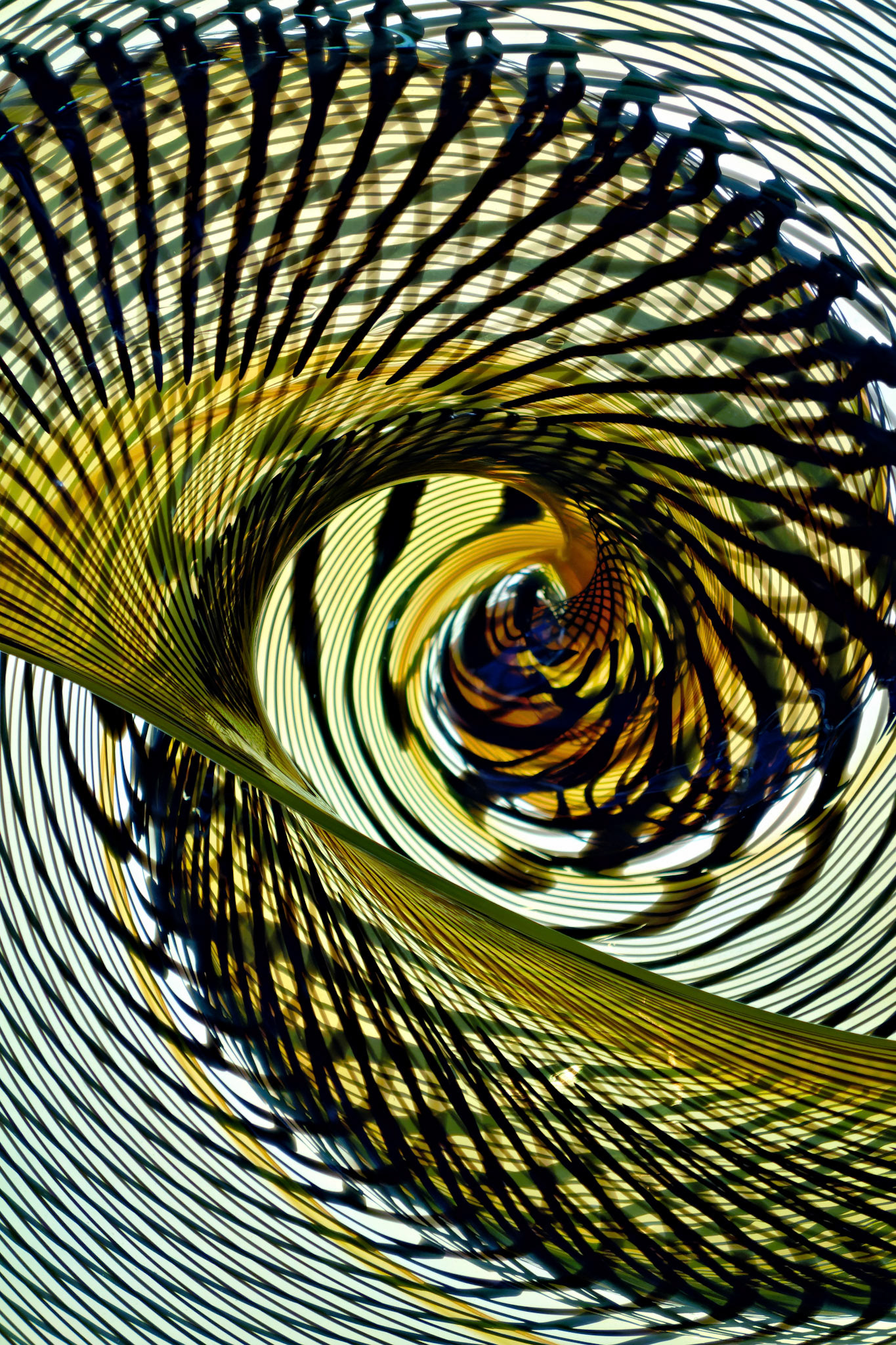 Artistic_20120926_0081_PS.dng