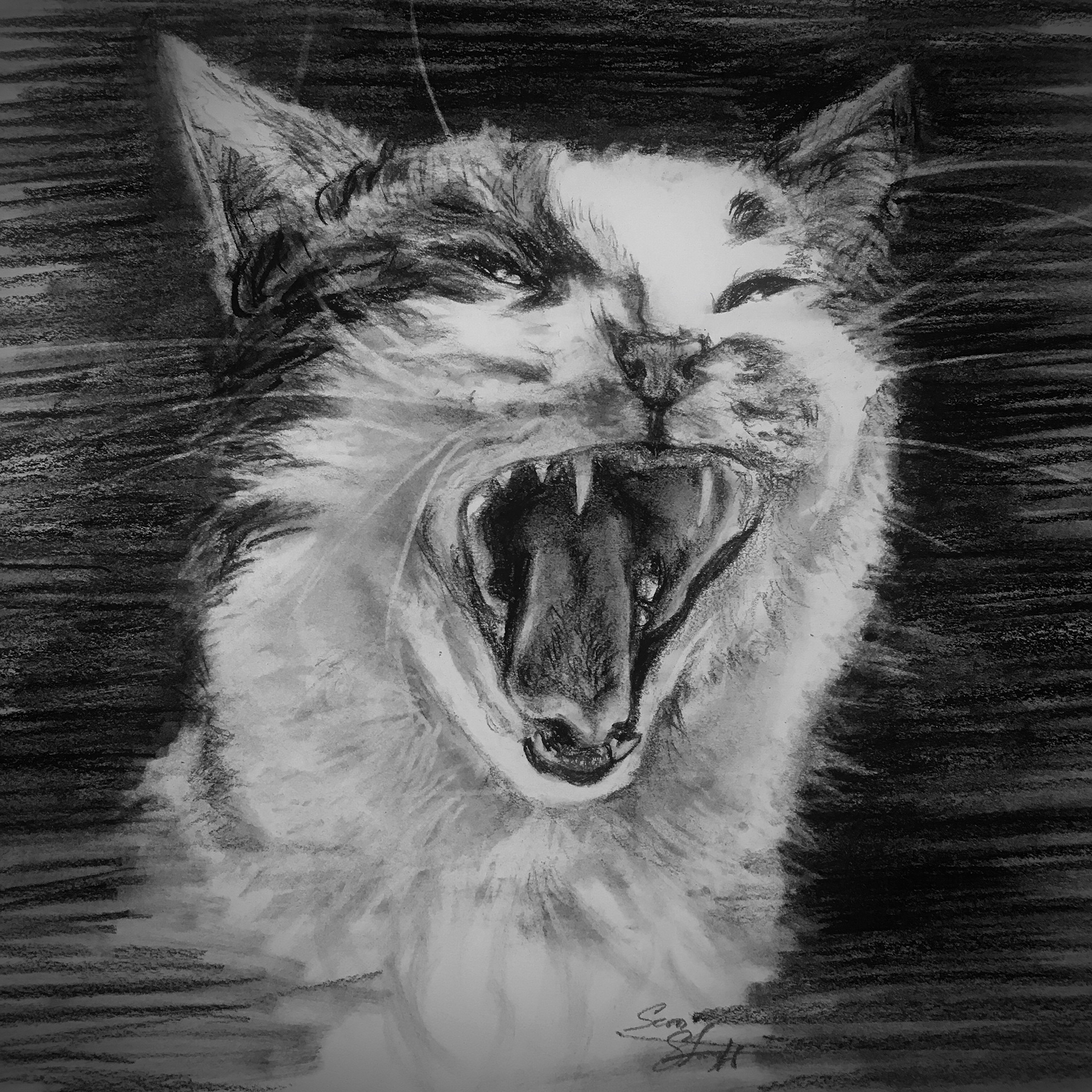 Charcoal 2020