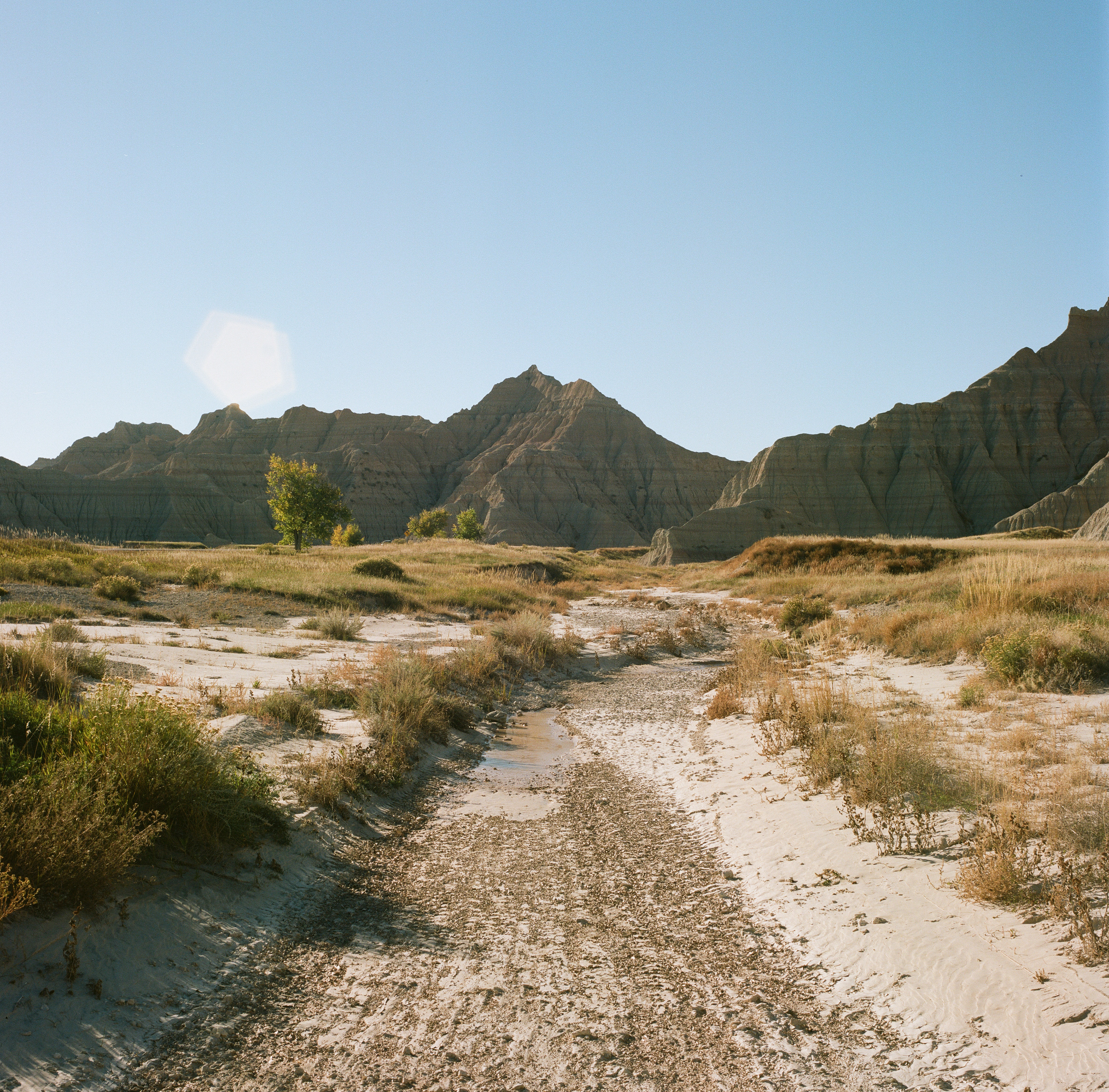 Hasselblad 500C, 80mm f/2.8, Kodak Portra 160