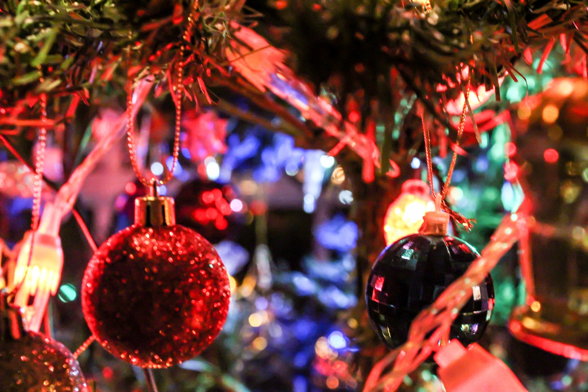 It's Looking A Lot Like Christmas (Part 02)