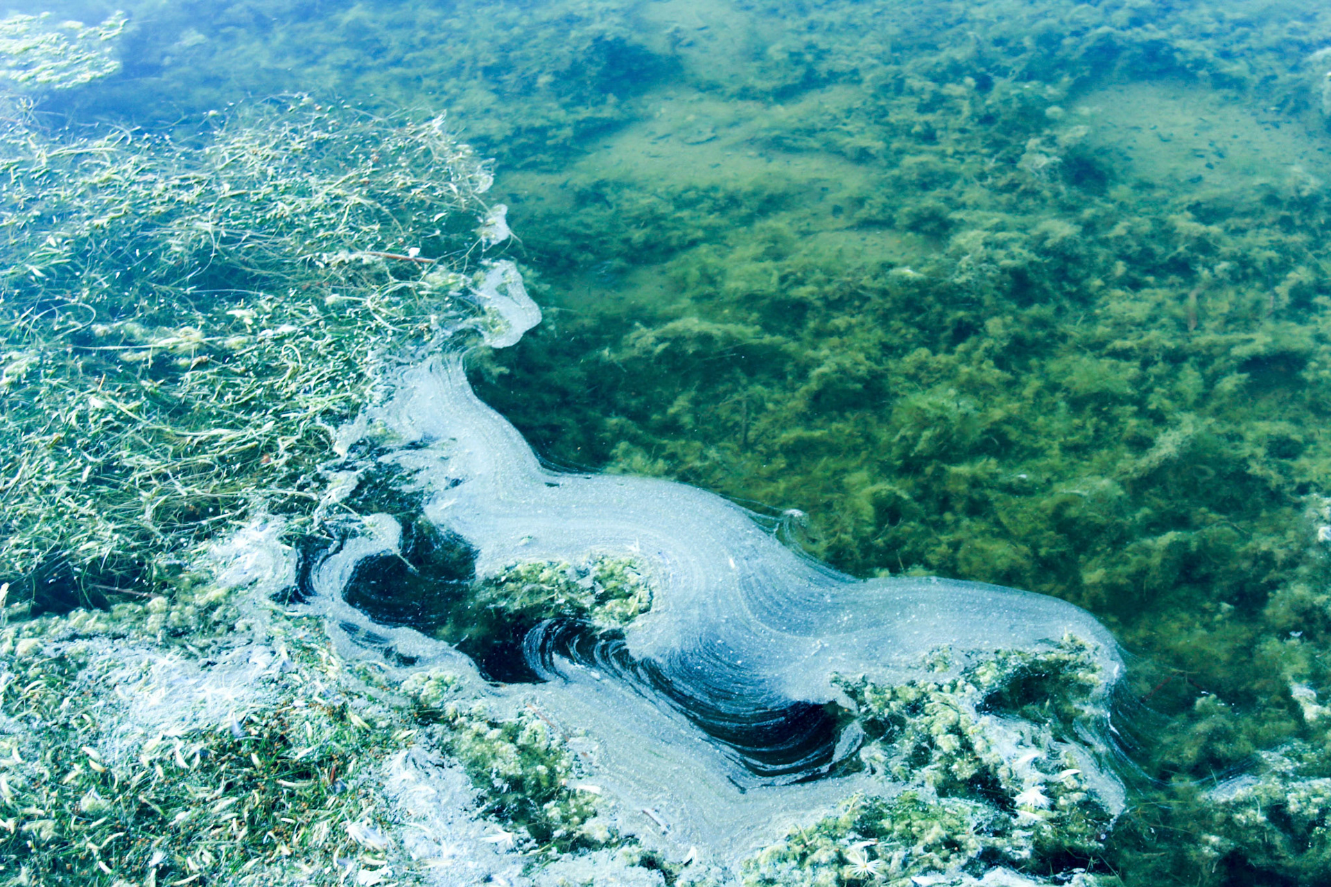 Murky Waters
