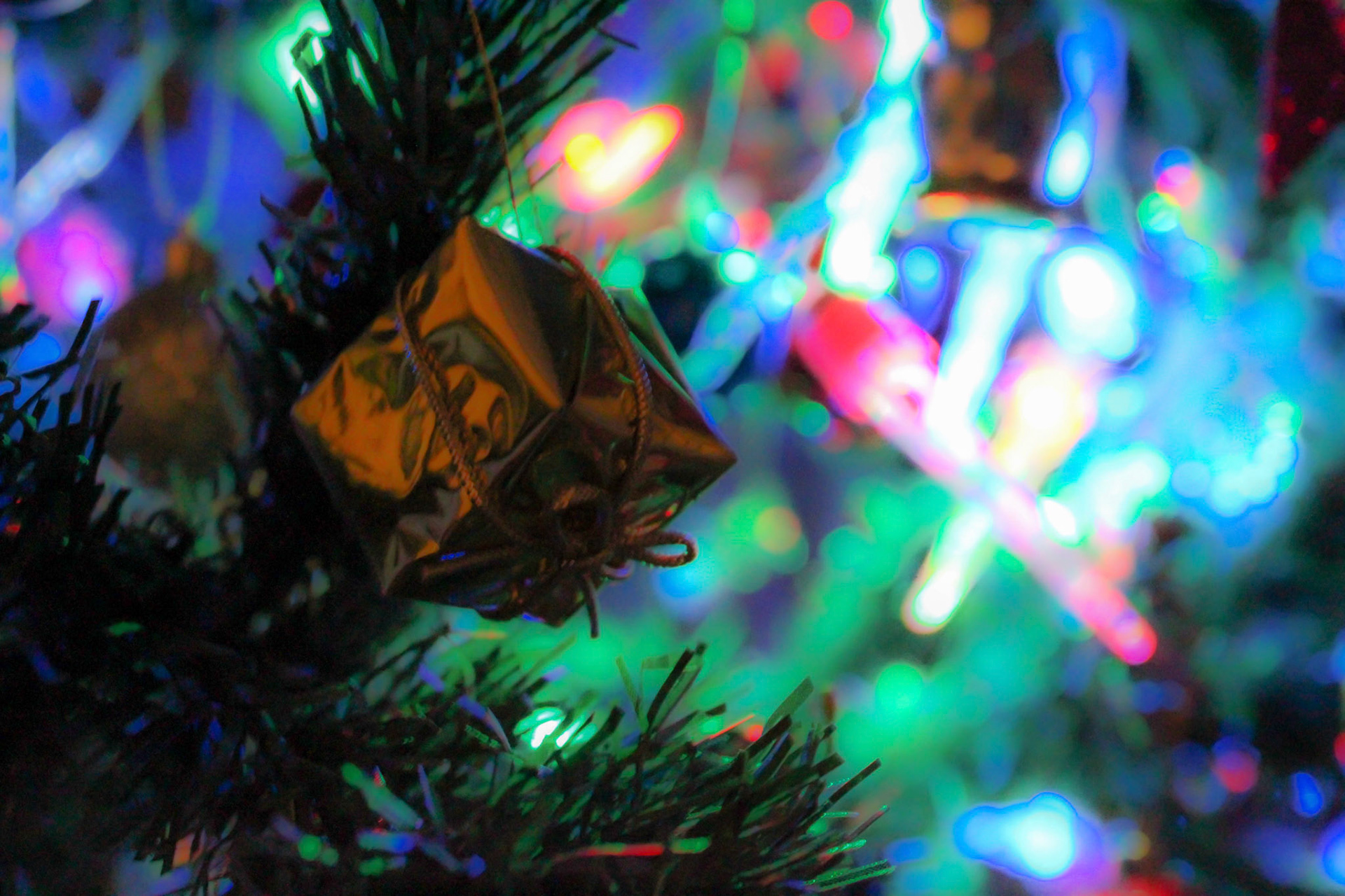 It's Looking A Lot Like Christmas (Part 01)
