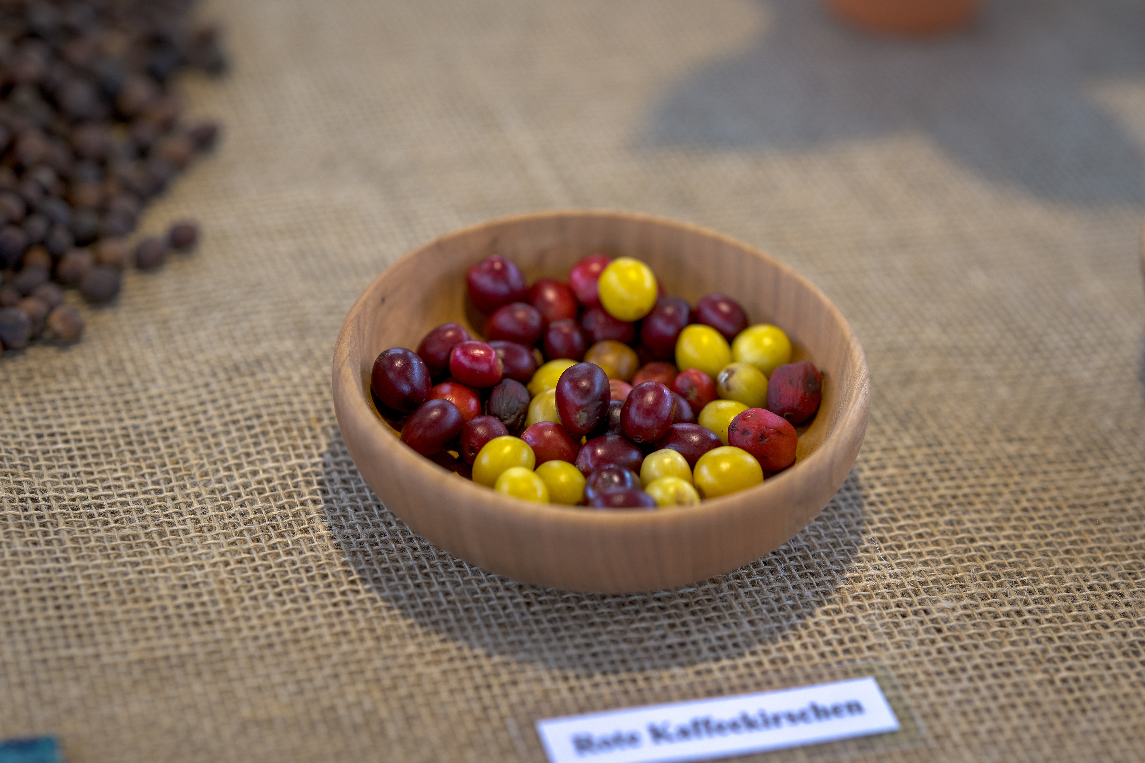 Coffee Cherries