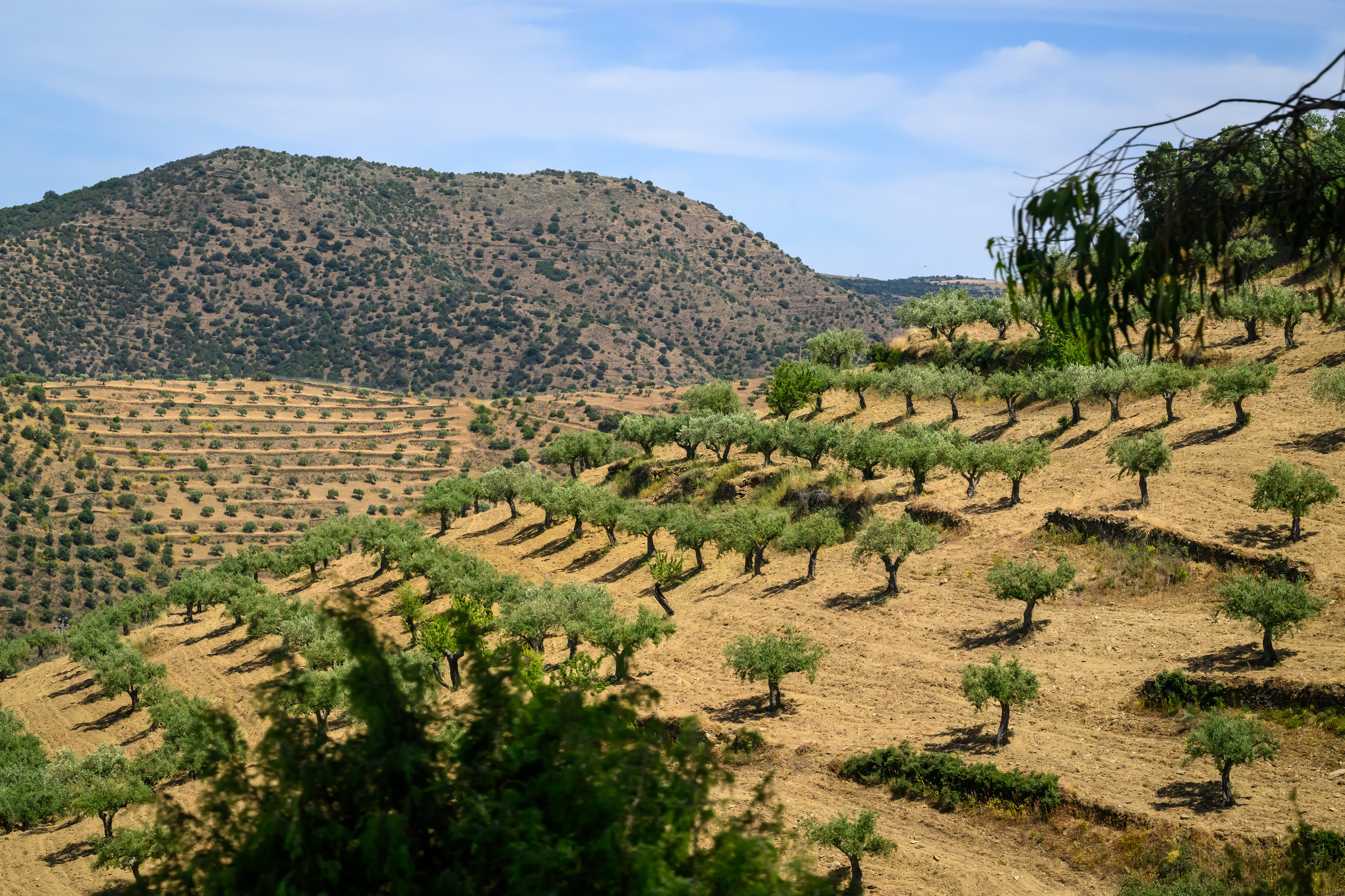 Portugal