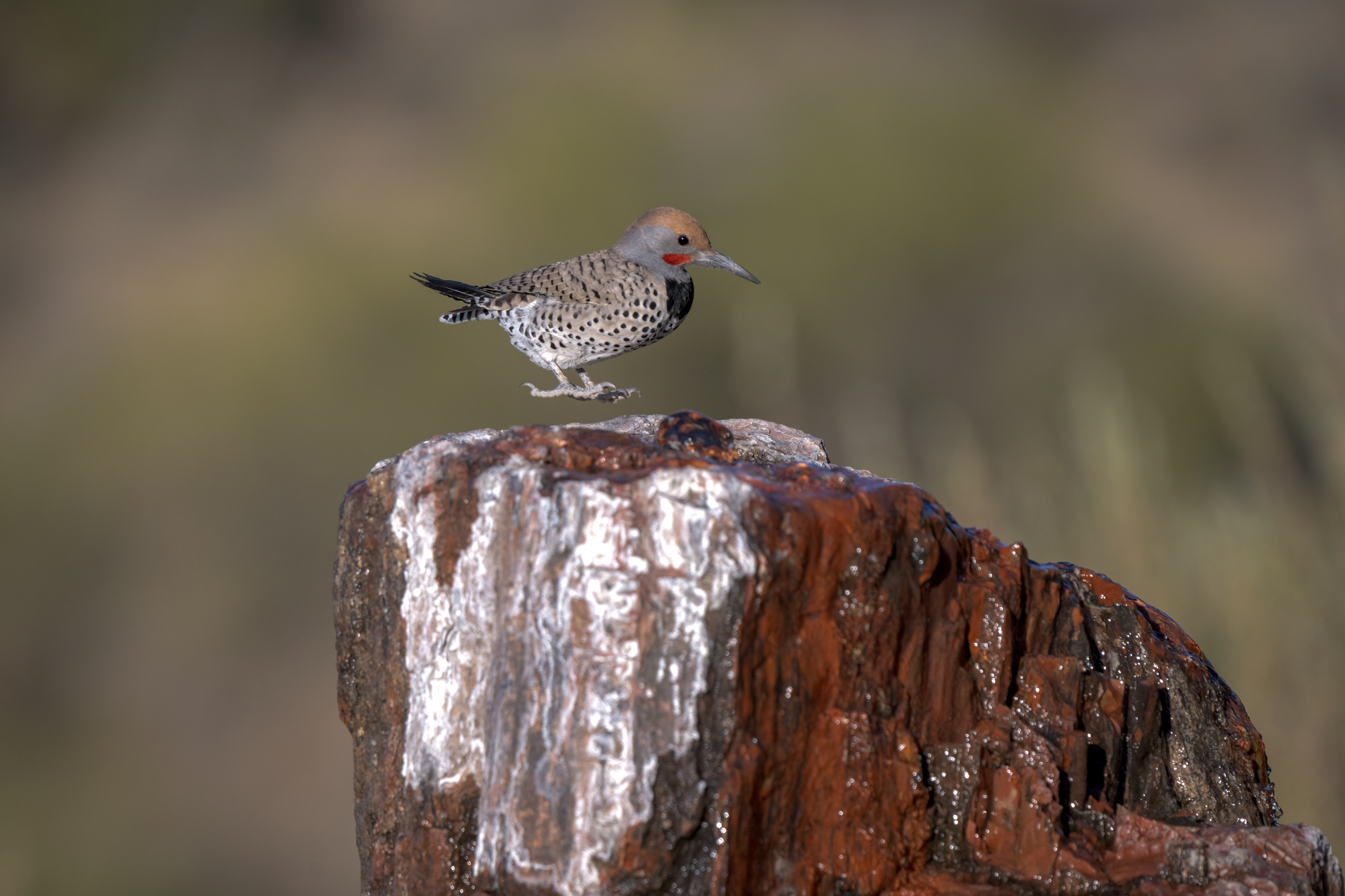 Levitating Flicker