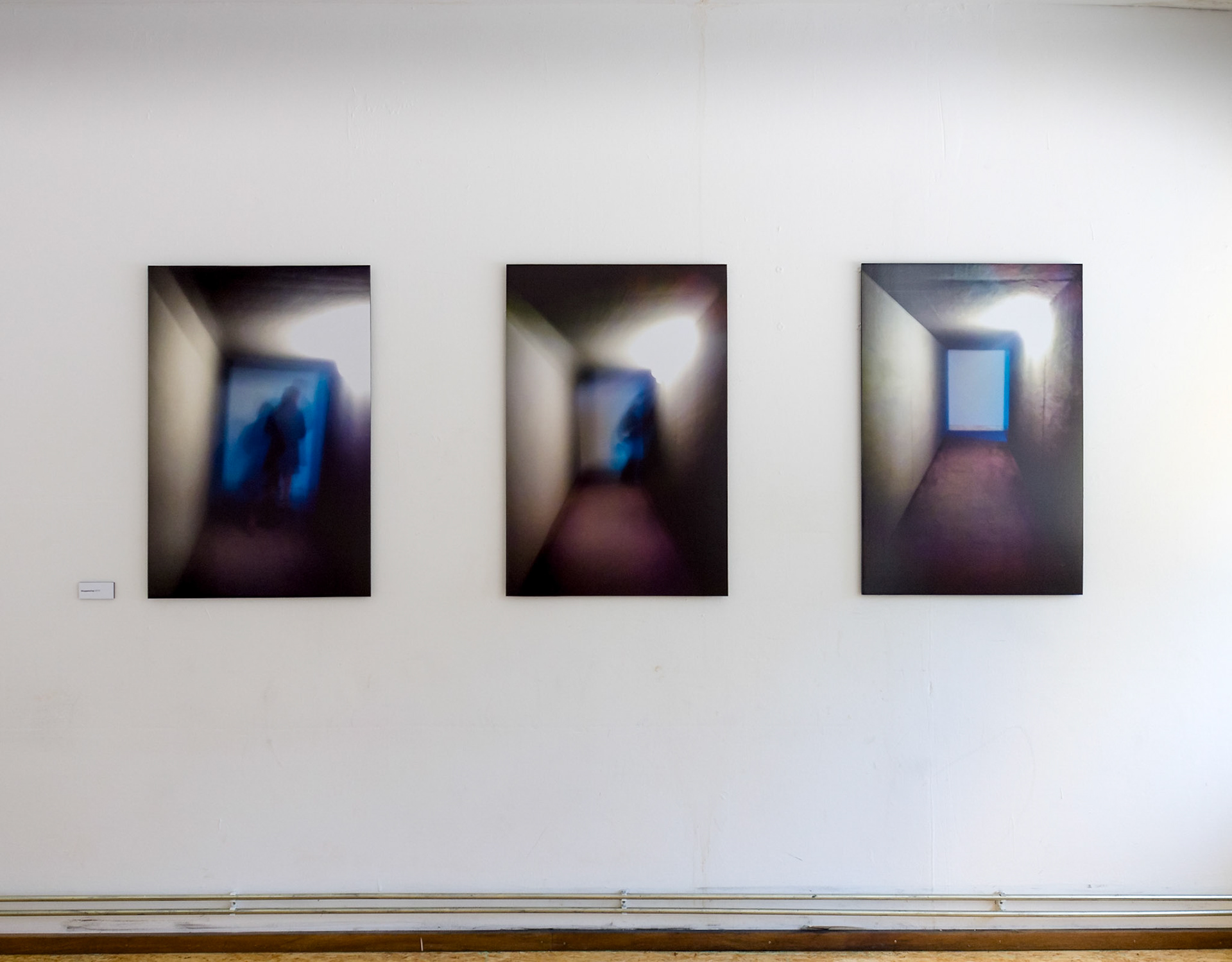 Disappearing (2012)