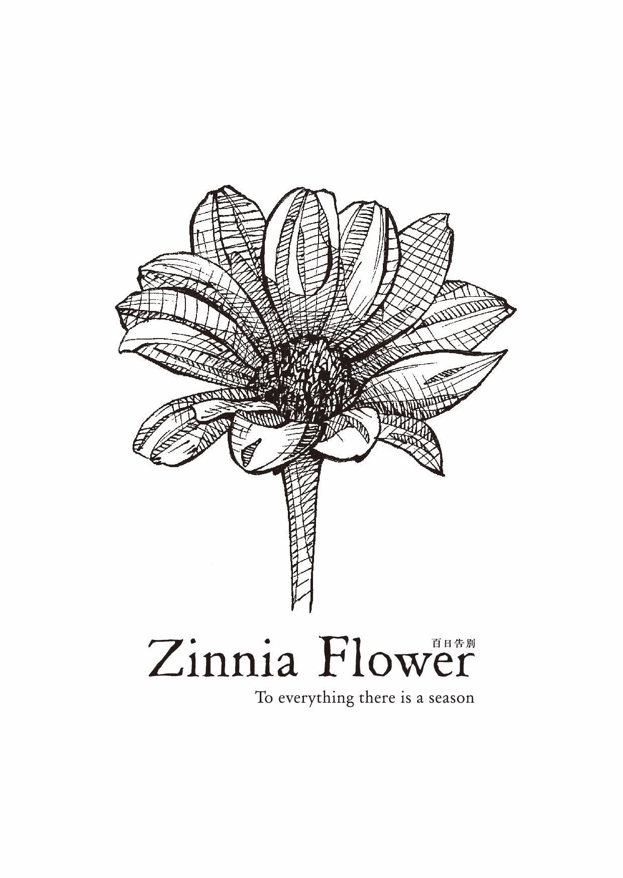 Movie "Zinnia Flower" Special Screening Invitation Card