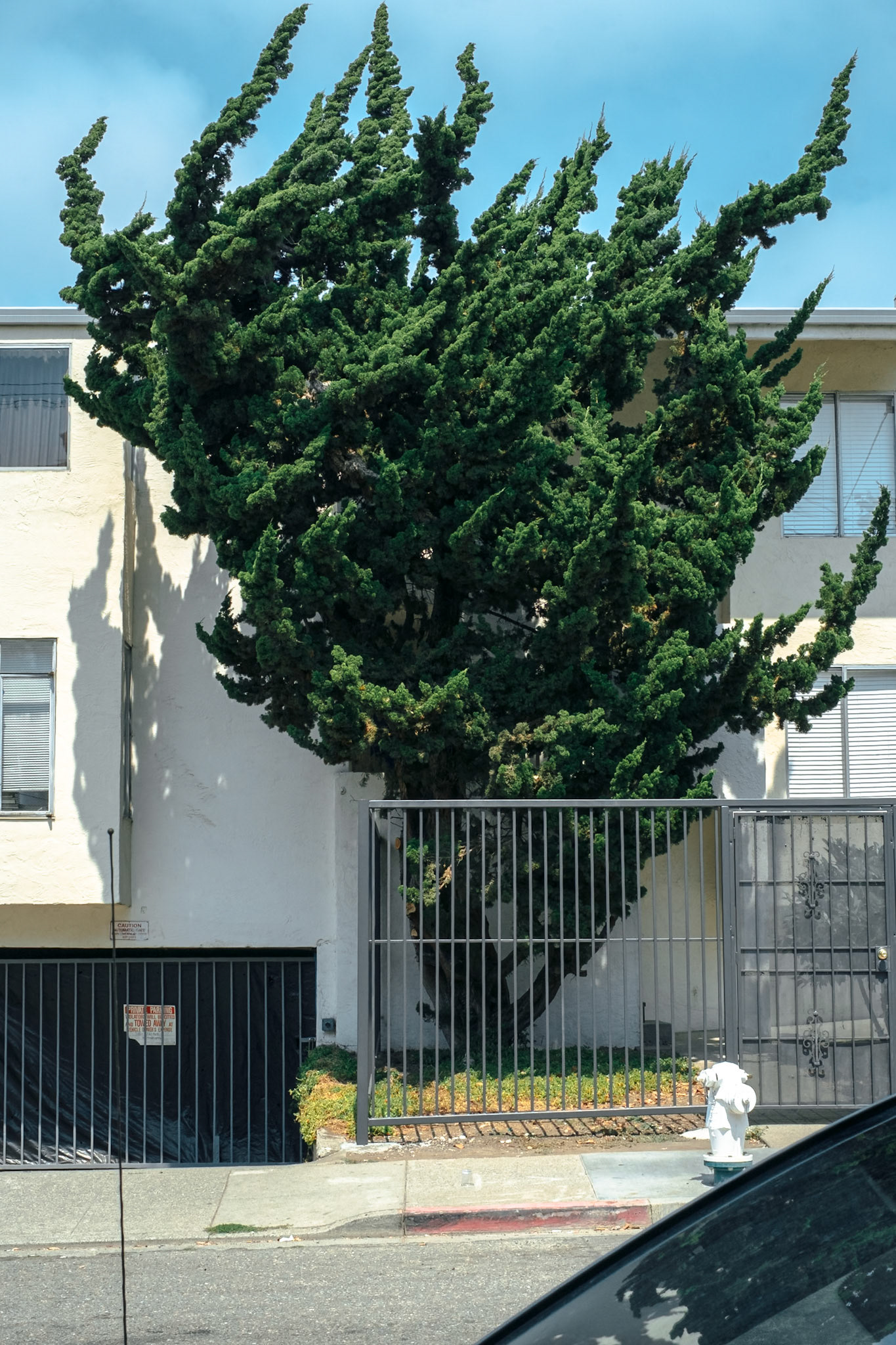 Textural. Sculptural. Wind-blown. Mad scientist hair.