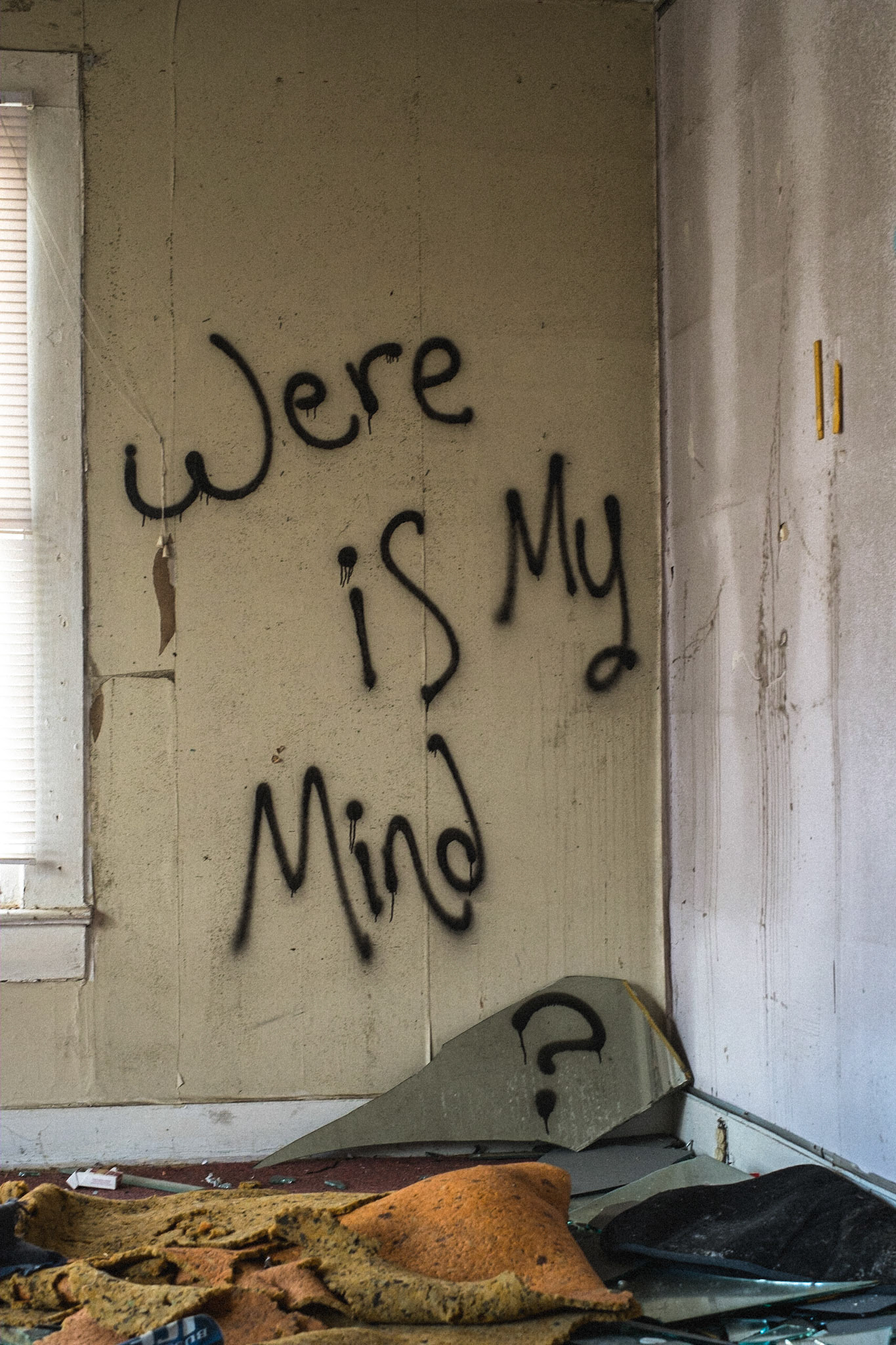 Bicycling America IX. An American Allegory in Four Words. This was the first picture I took upon cycling into South Carolina from the north. Just a small collection of abandoned buildings off the side of the road I was on. I probably could have taken a few more photos, but this one would just speak for them all anyway. There is another that pairs with this one, and is from the exterior of another building on the same property, that I will be posting in the next trio of images. Scary, the prophetical powers of some. Remember, Donald Trump is a mere symptom, a manifestation, if you will, of the American sub-conscious. With therapy, however, he can be made to go away.