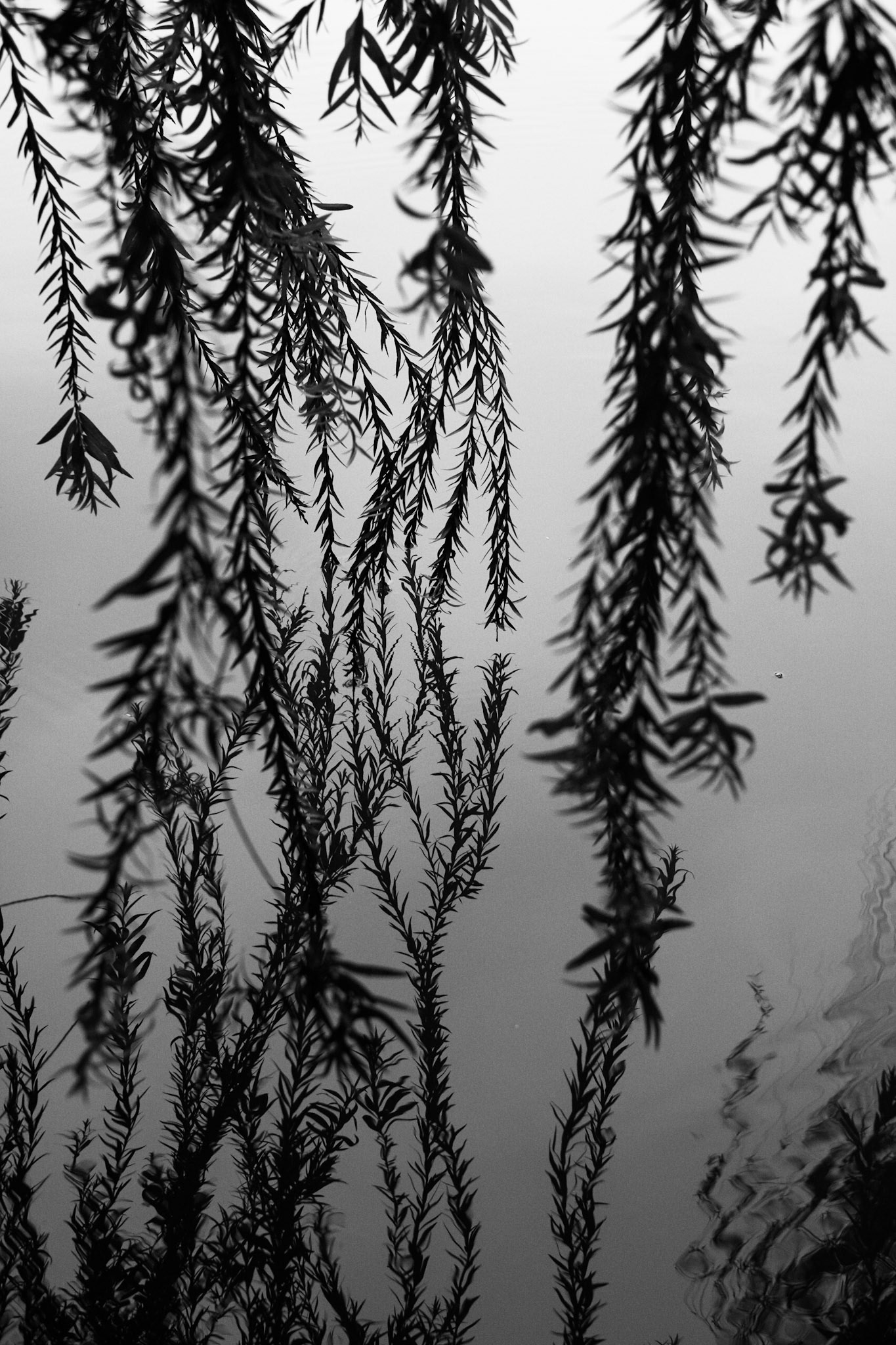 At Hoan Kiem Lake II.