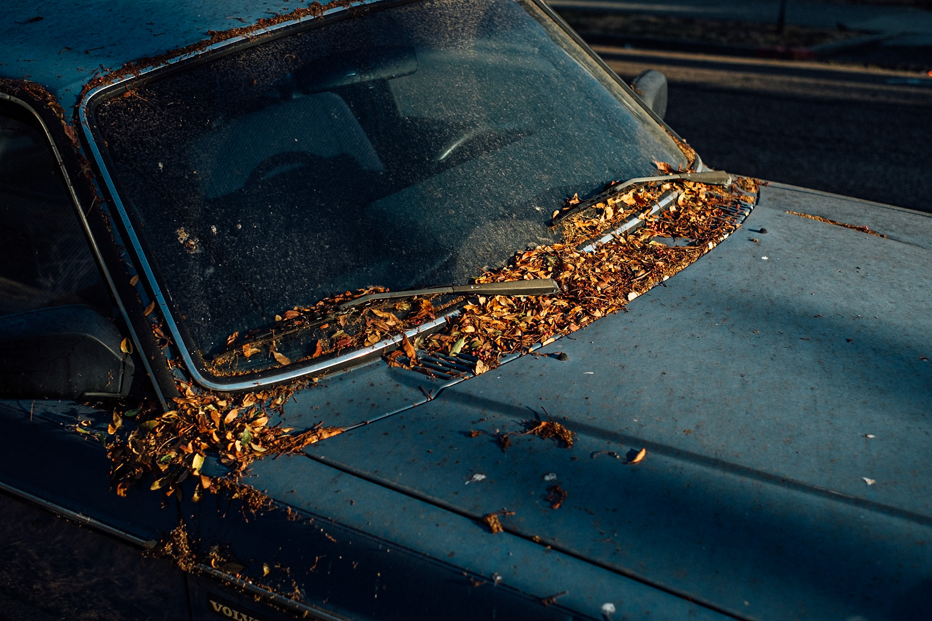 Beautiful Berkeley Car, I.