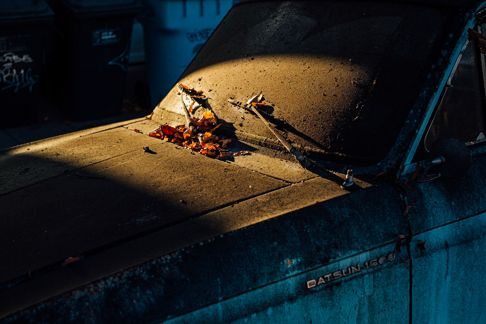 Beautiful Berkeley Car, III.