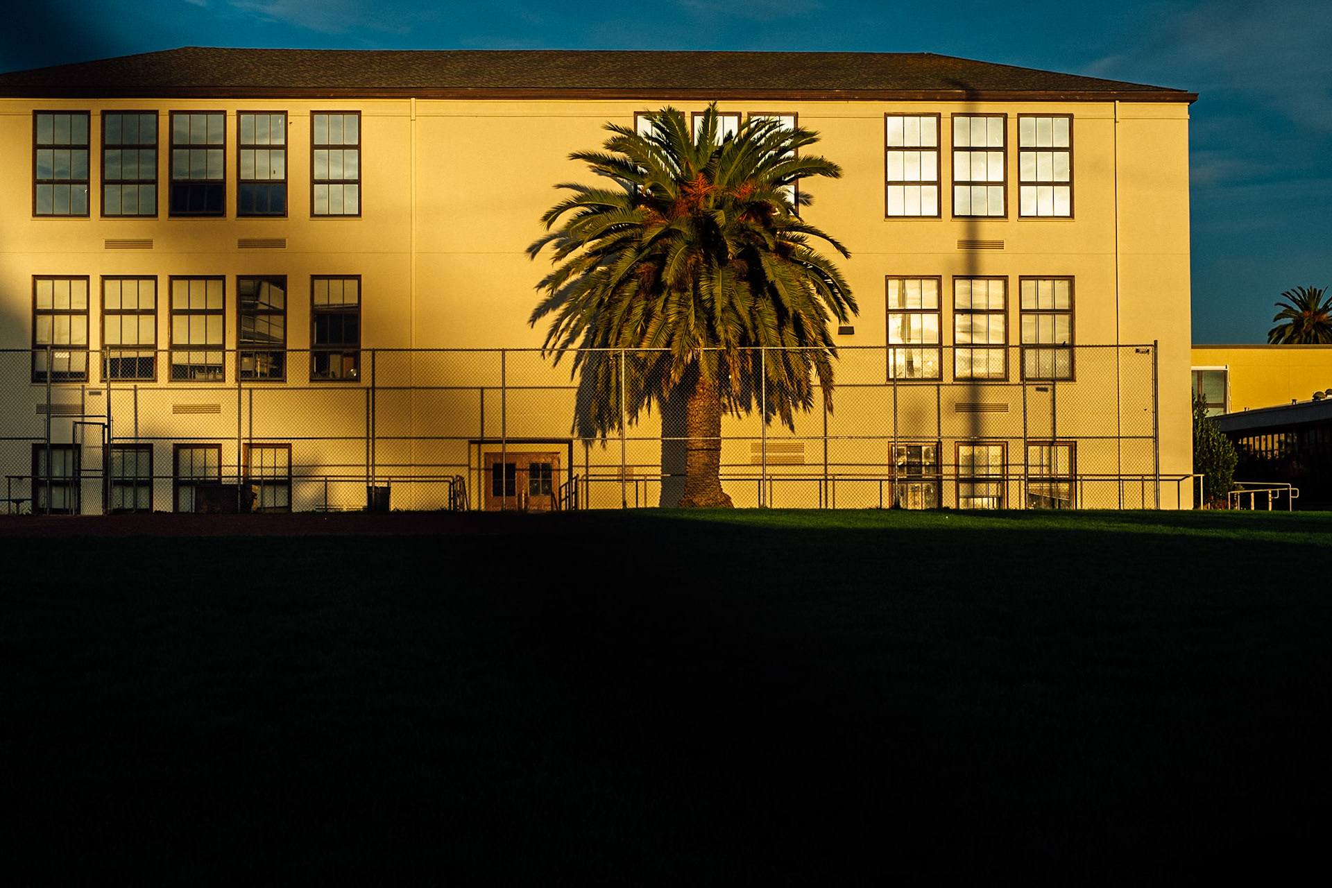 Palm Tree and School. A Setting Sun.