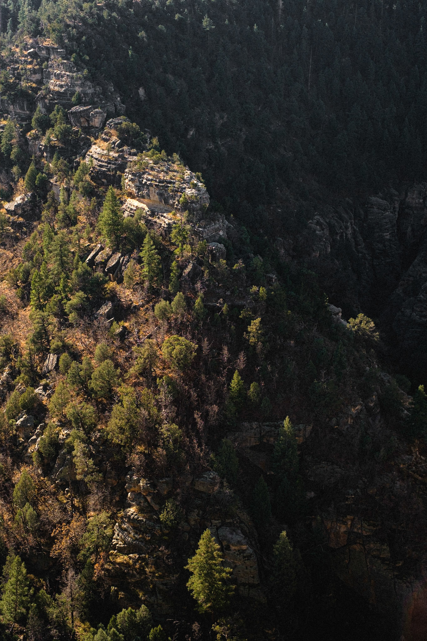 Bicycling America XXI. Walnut Canyon, Flagstaff, AZ, November, 2016. So, I stopped here, after leaving Flagstaff, for maybe an hour, though I could have spent significantly more time, as there are walking paths carved along parts of the canyon walls nearabouts the visitor's center, but I had a very long drive ahead of me that day; my destination: Santa Fe, NM where I would be staying a few days with a good fellow who hosted me as an injured cyclist months before in June when I was going back and forth between there and Taos wondering what moves I would make going forward. Walnut Canyon is only fifteen minutes or so by car from Flagstaff, and is an underrated site, mainly due to Flagstaff's relatively close proximity to the Grand Canyon. However, if you happen to be in Flagstaff, and want something to do nearby and out of doors, Walnut Canyon is a good option (not that there aren't numerous good options for being outdoors in Flagstaff).