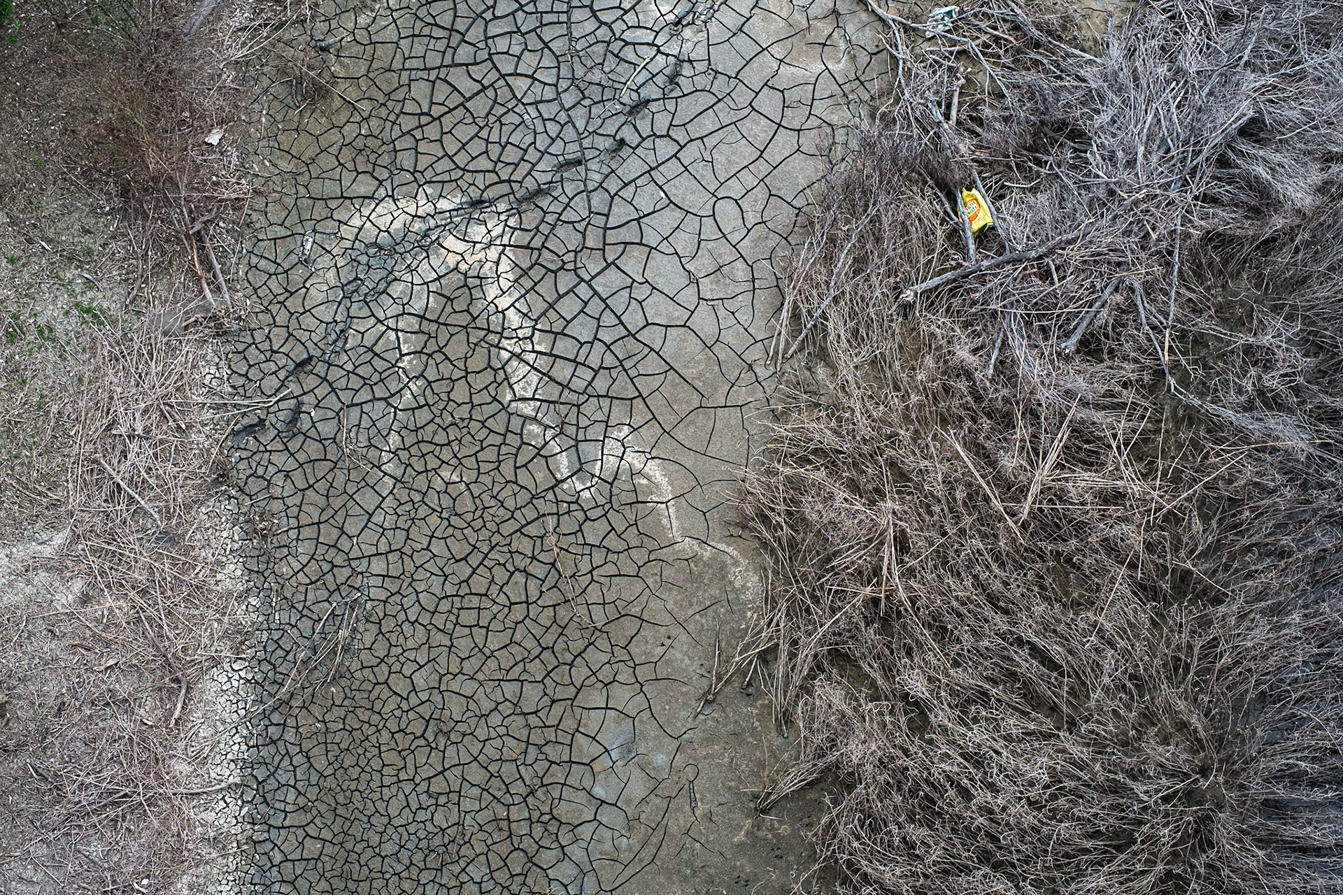 (Mostly) Bicycling America XXXXIII. Six Photographs Taken From a Bridge Connecting Mainland South Carolina to the Isle of Palms, March 25, 2016. I stayed with a very well traveled gentleman on Sullivan's Island (just outside Charleston) during my second journey south. We actually became acquainted when on my first trip I was looking for a place to stay in the Charleston area before heading back home to fix myself and my bike. Unfortunately he was unable to host me at the time, but told me to let him know the next time I was down there. There is an inland waterway called the Intracoastal Waterway here in the United States that runs all the way from Massachusetts down to Texas. Sullivan's Island and Isle of Palms are both barrier islands with long bridges connecting them to the mainland. Obviously it was necessary for me to cross one of these bridges in order to get to the islands. These are just some photographs of cracked mud, reeds, grasses, and sadly some trash taken as I crossed the bridge. Obviously, and thankfully, the tide was out so I was able to get these extraordinary forms, textures, and varied shades of browns captured with my camera.