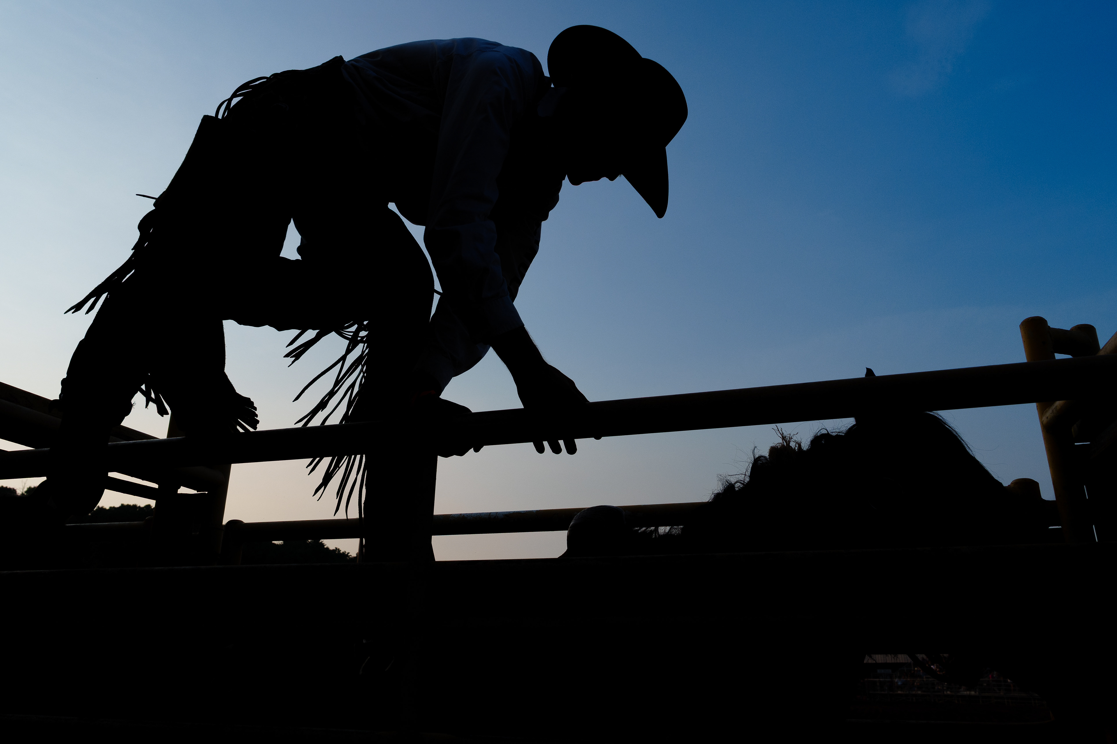 Tyler Wall climbs into a holding pen to mount a horse before competing at the Benton Frontier Days Rodeo in Benton, Pa.