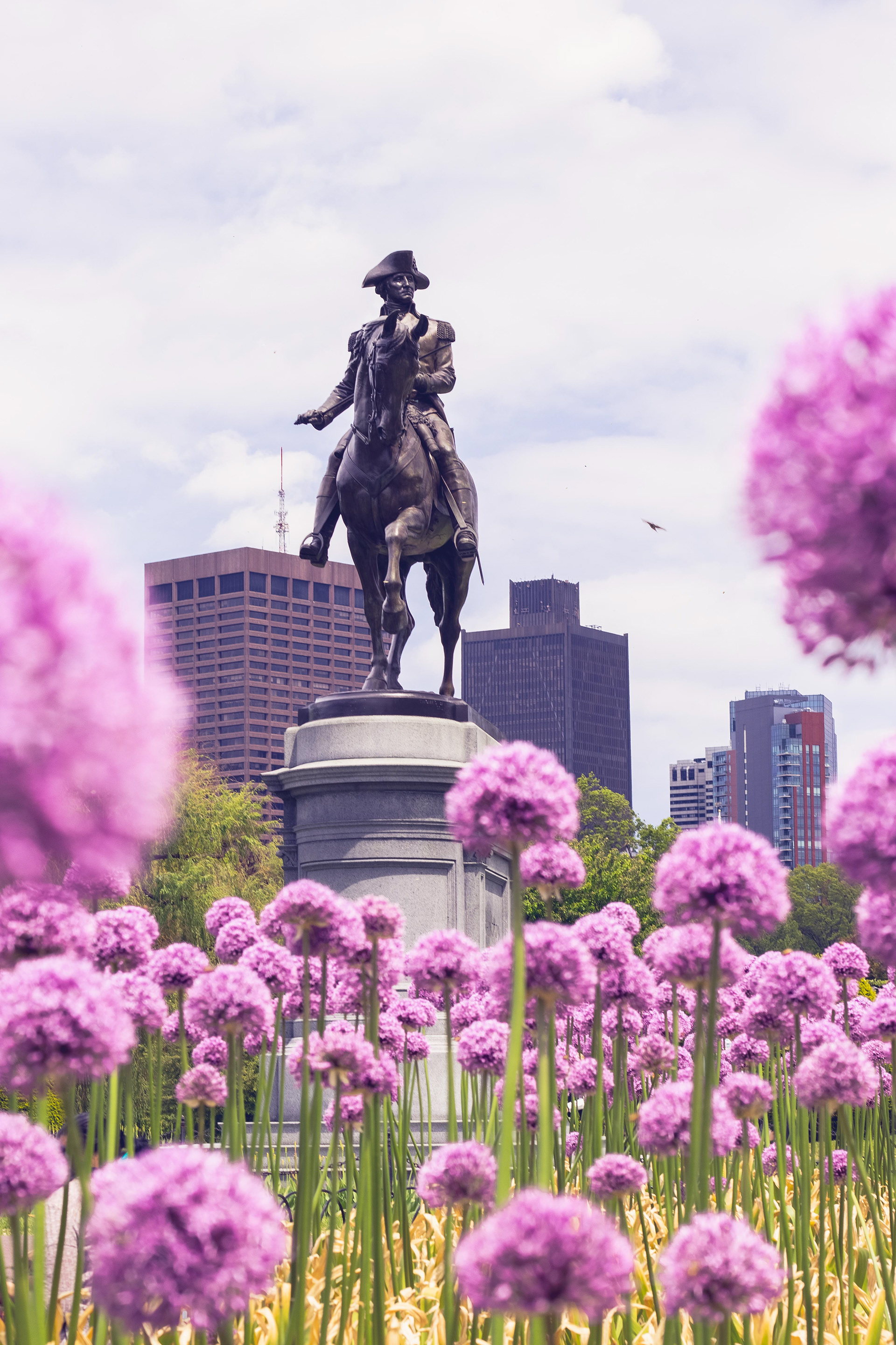 Boston Commons