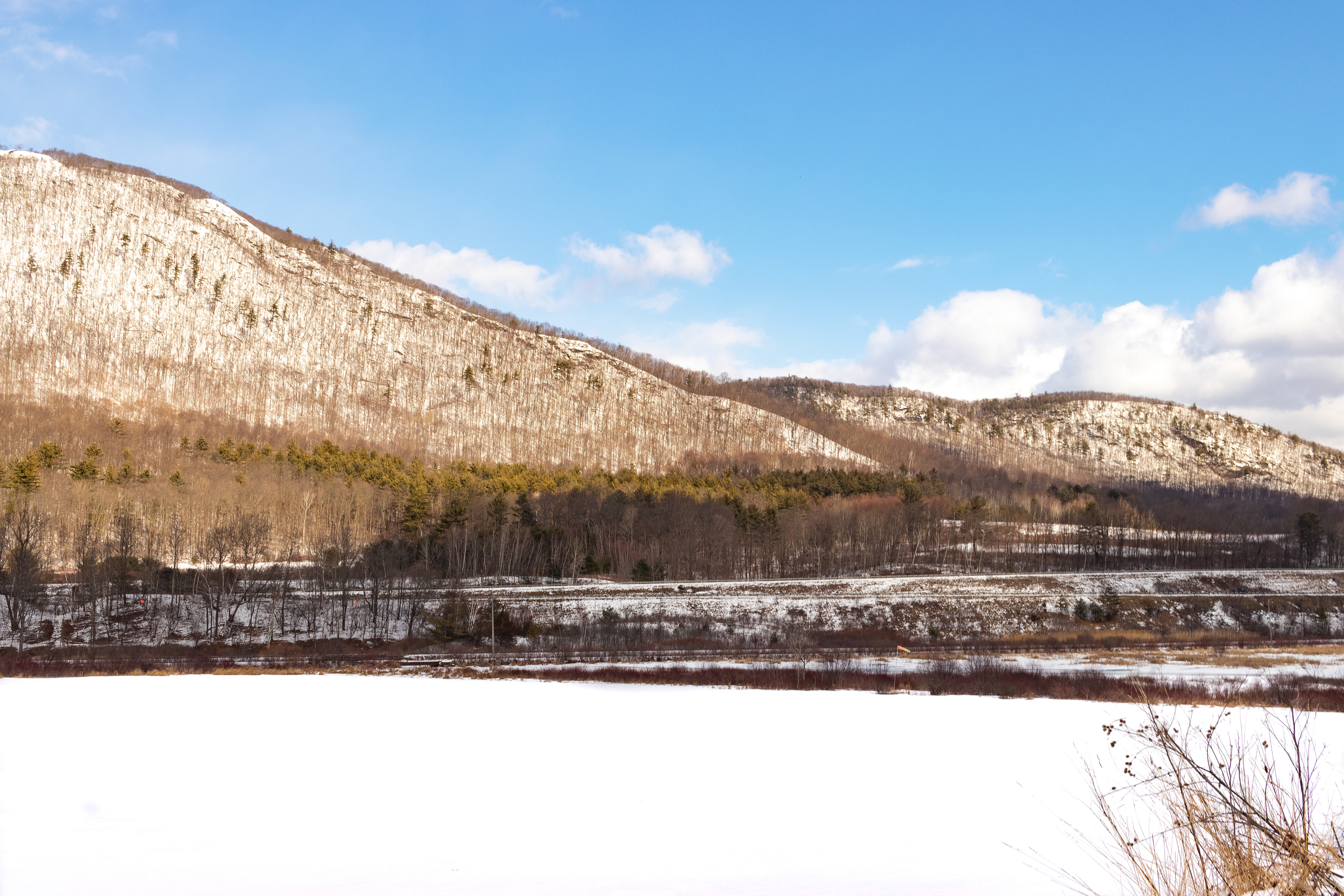 Vermont