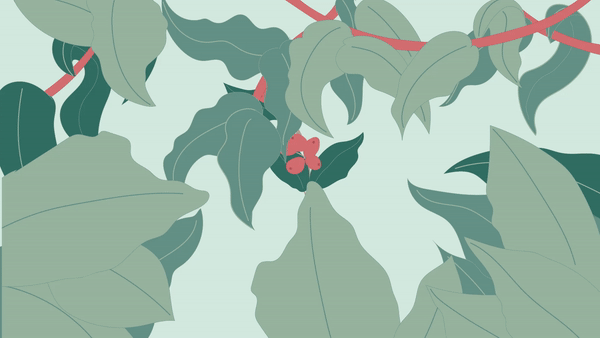 Motion Design. Coffee Lovers