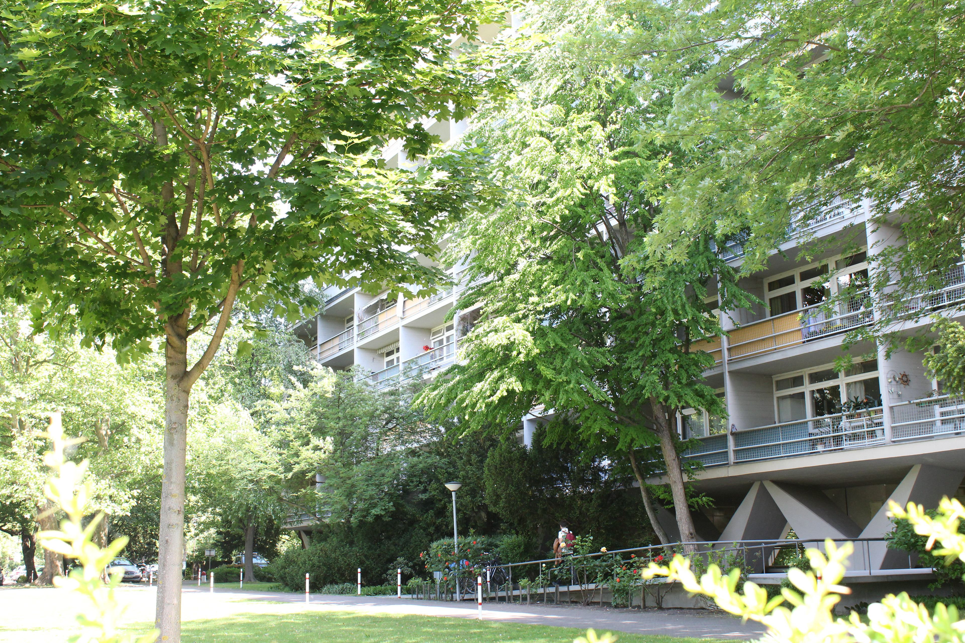 Socialist Apartment Design within the Garden Typology