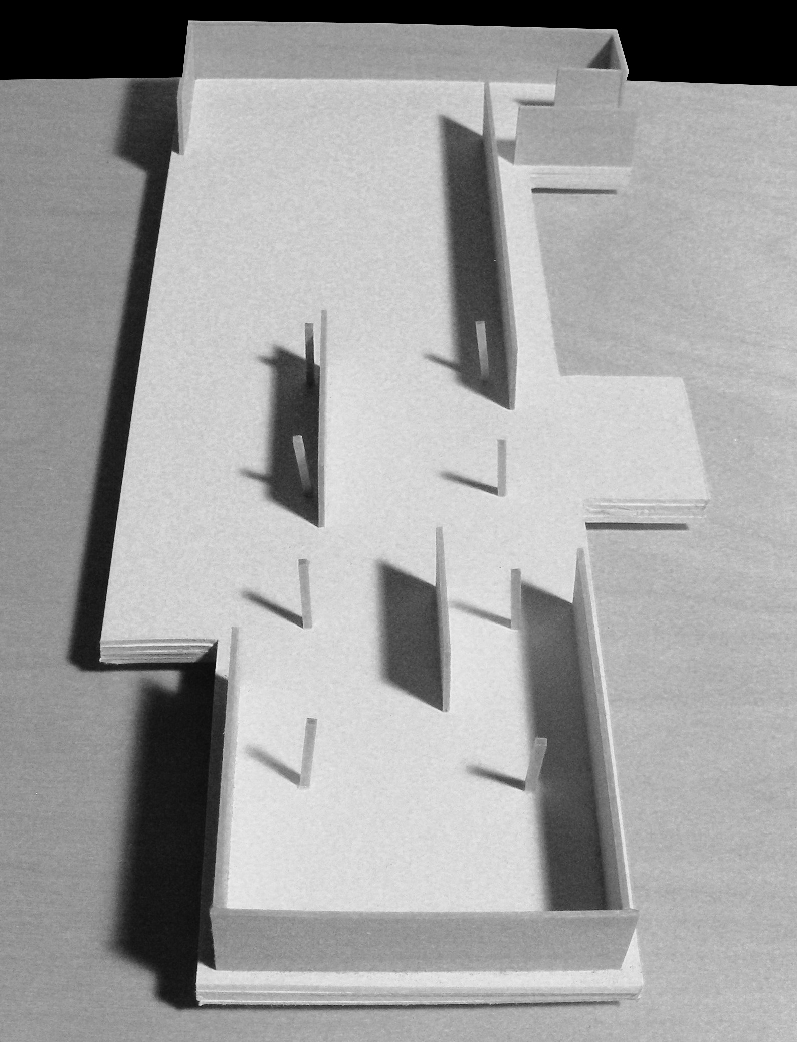 The tectonic study also explores the balance of structural design and a "meandering" circulation pattern that is desired for the project