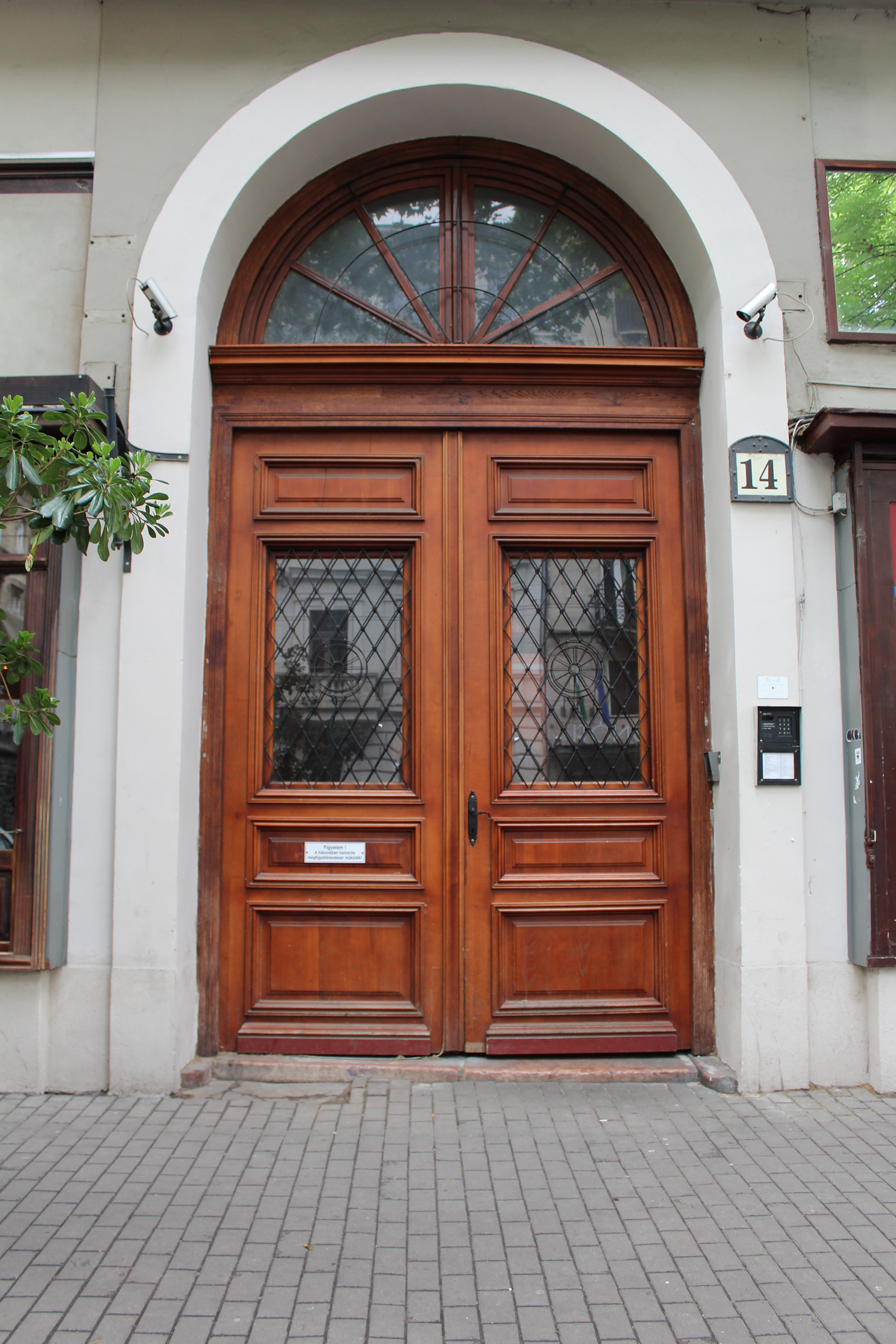 Hungarian Entry Door No. 1