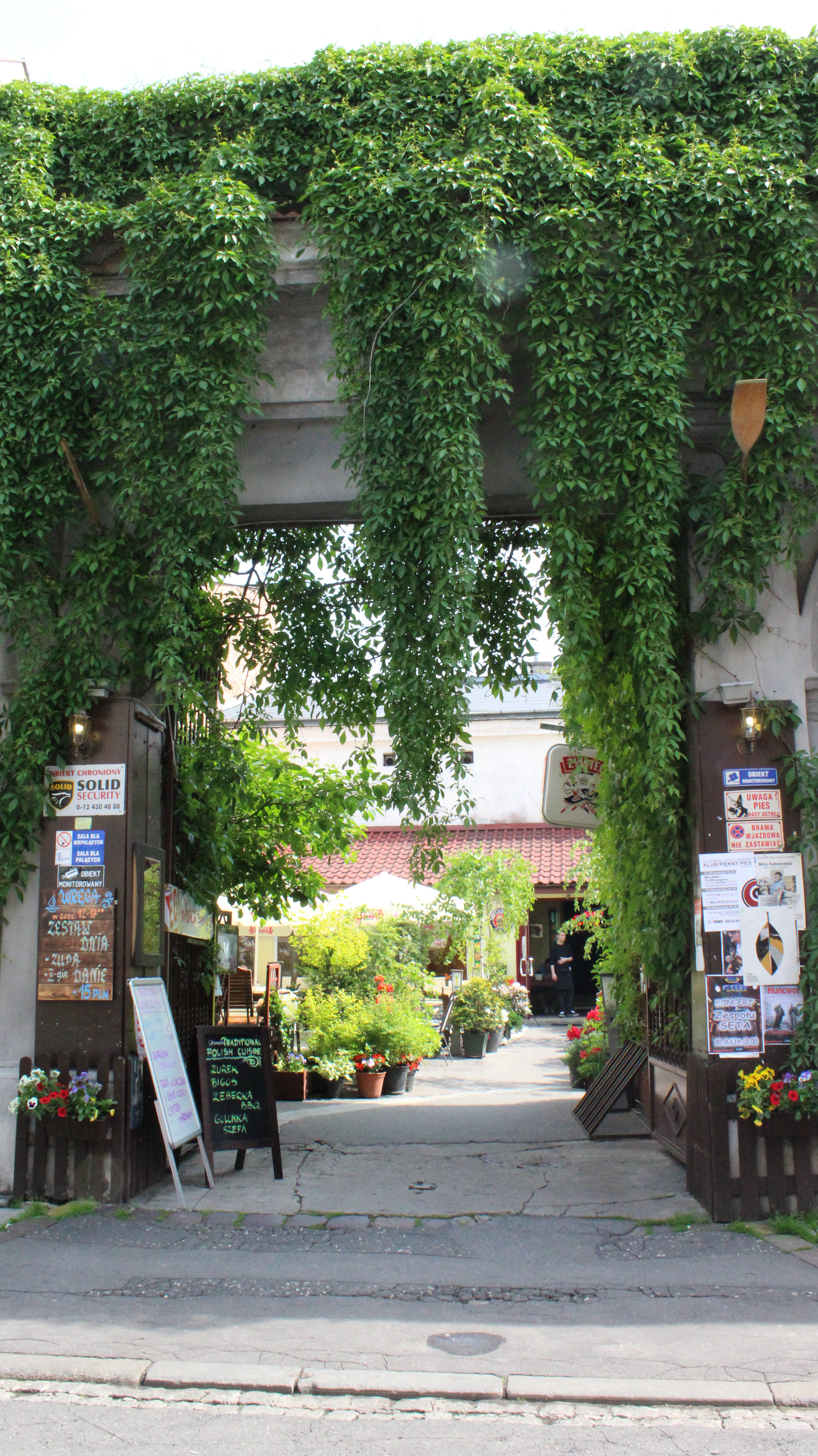 The Allure of the Courtyard