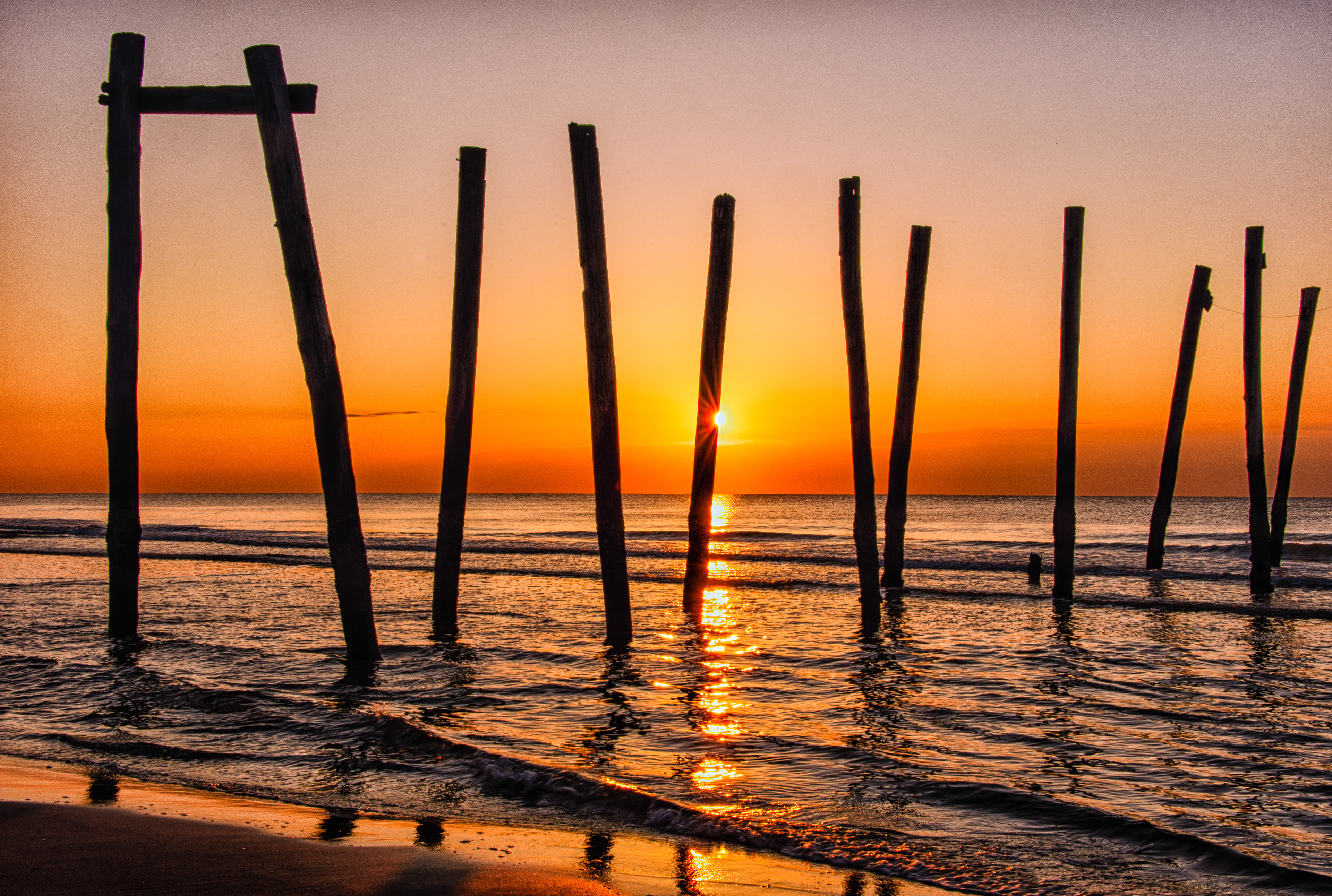 A hurricane fatality :-(