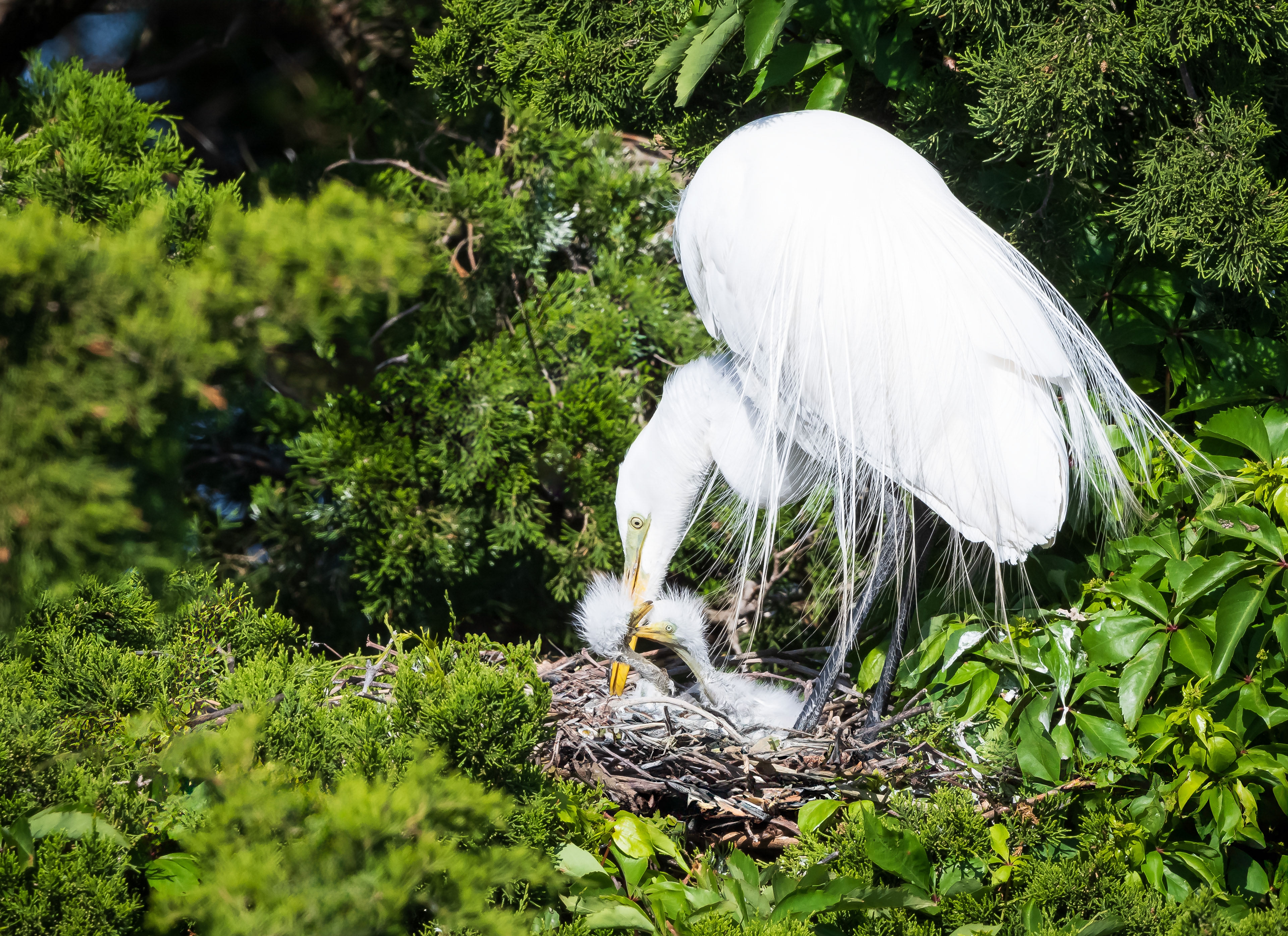 Babies getting some TLC, New Jersey