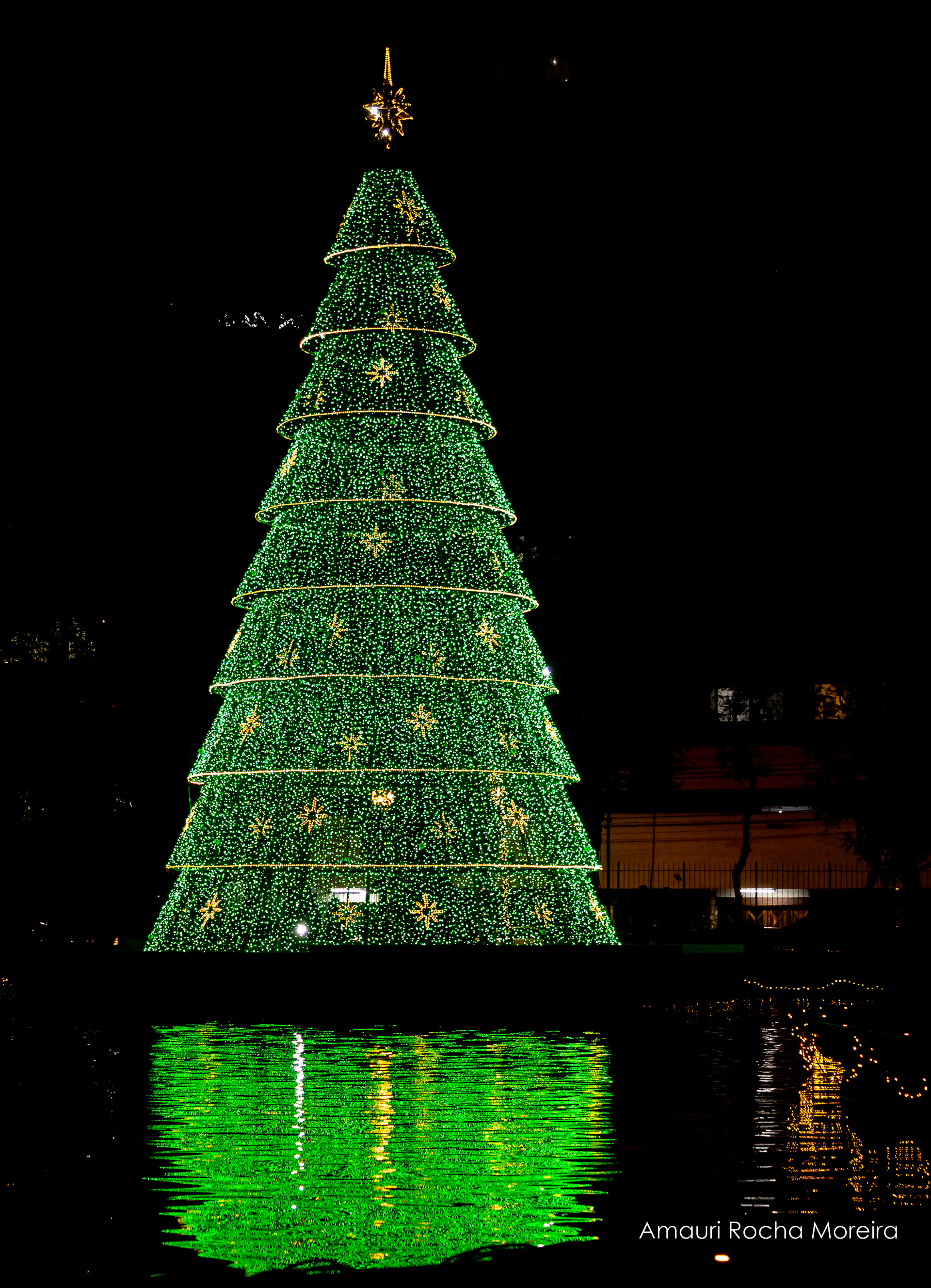 Árvore de Natal Passeio Público
